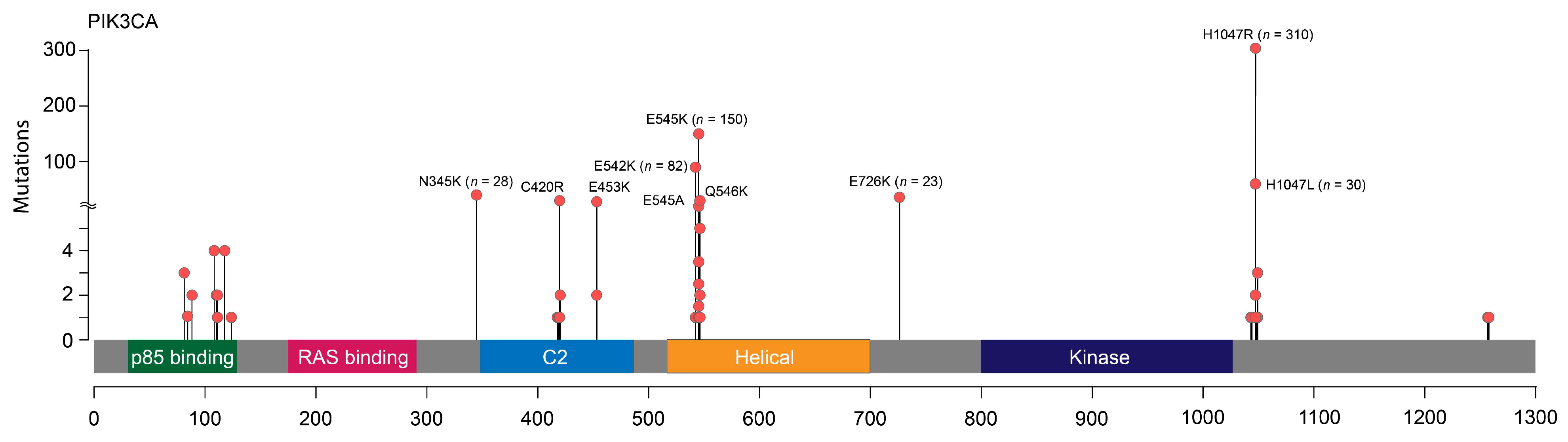 Cancers 17 01833 g001