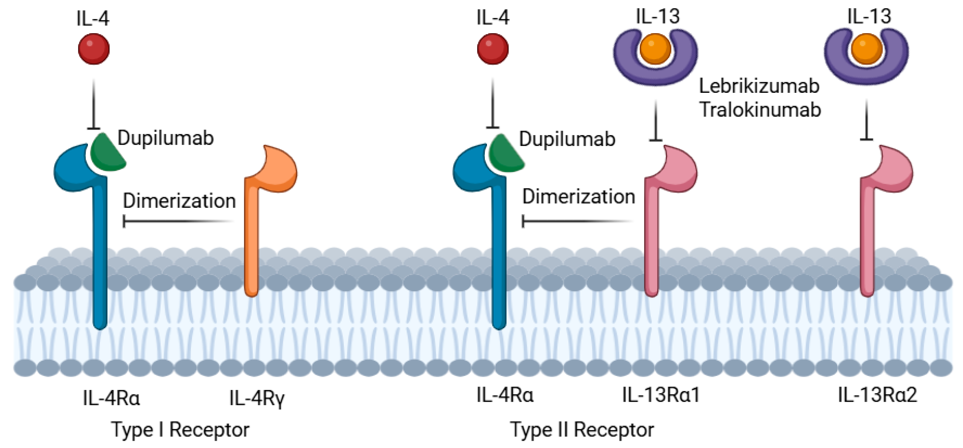 Cancers 17 01845 g001
