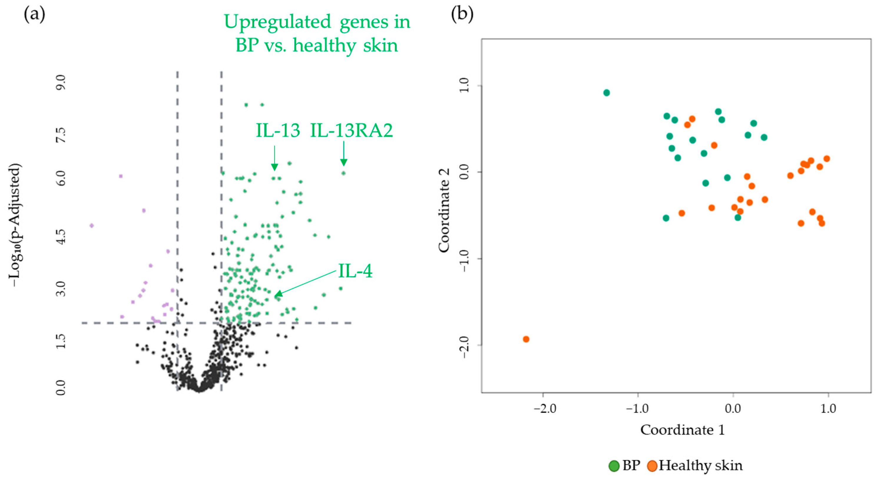 Cancers 17 01845 g002