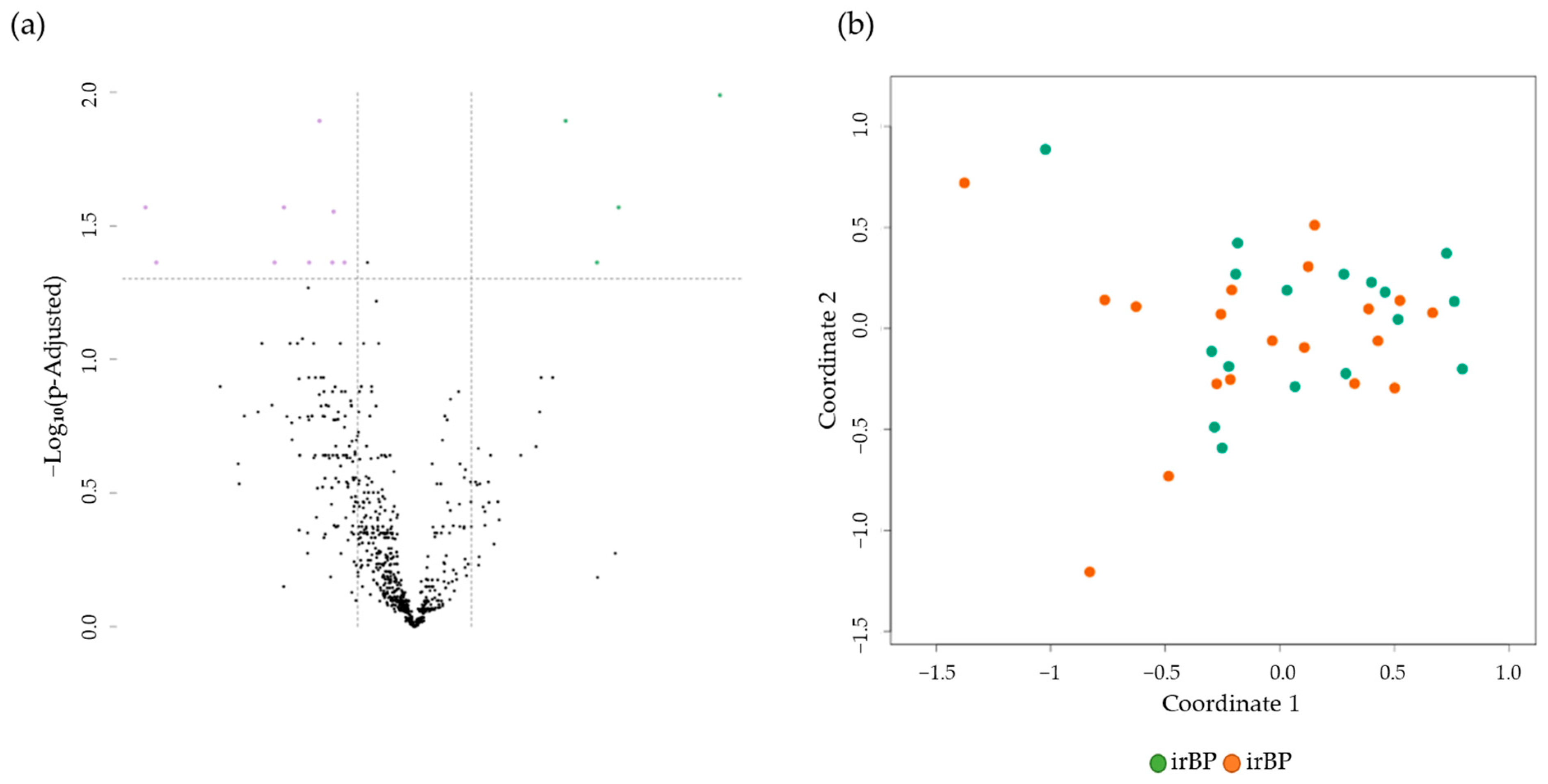 Cancers 17 01845 g004
