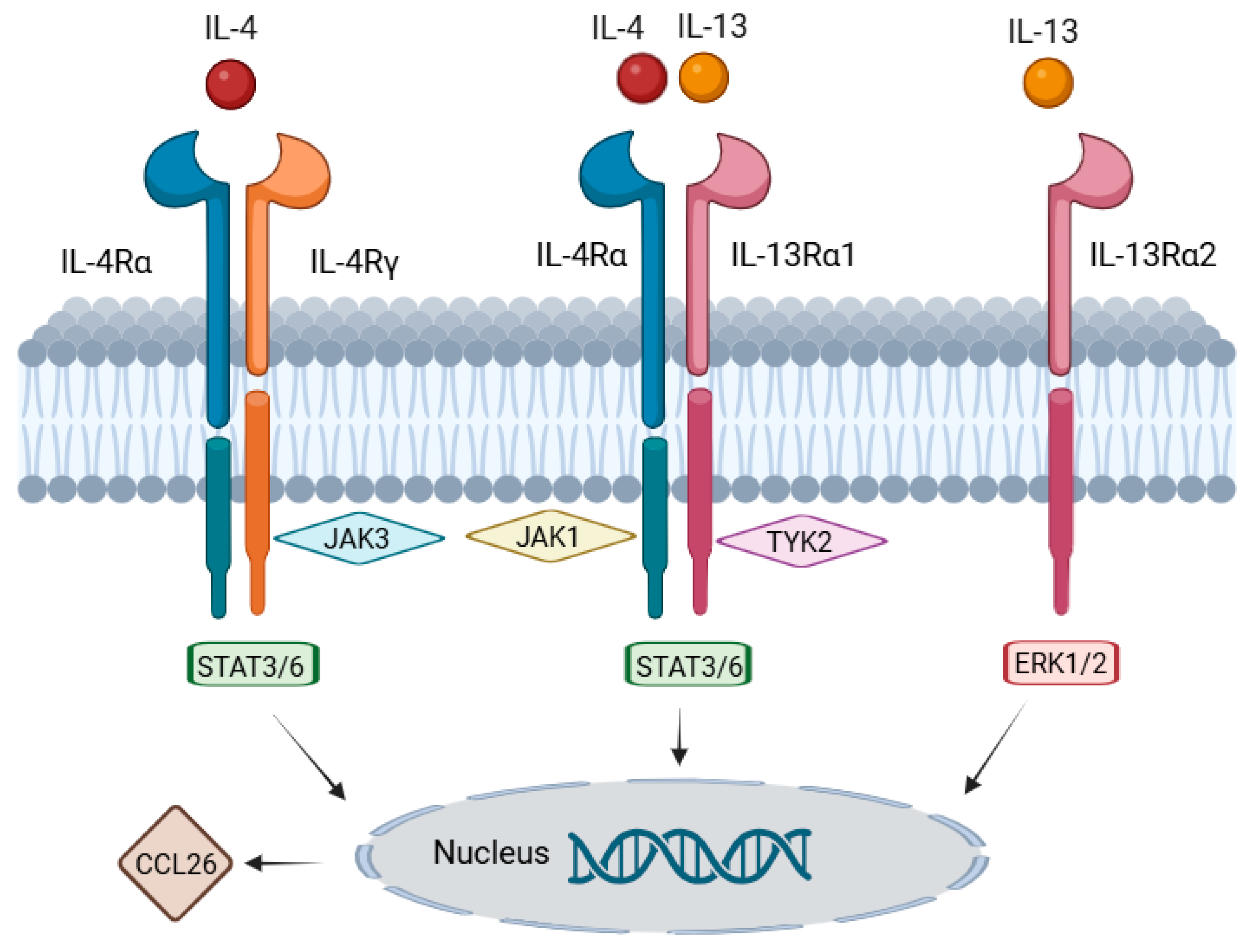 Cancers 17 01845 g007
