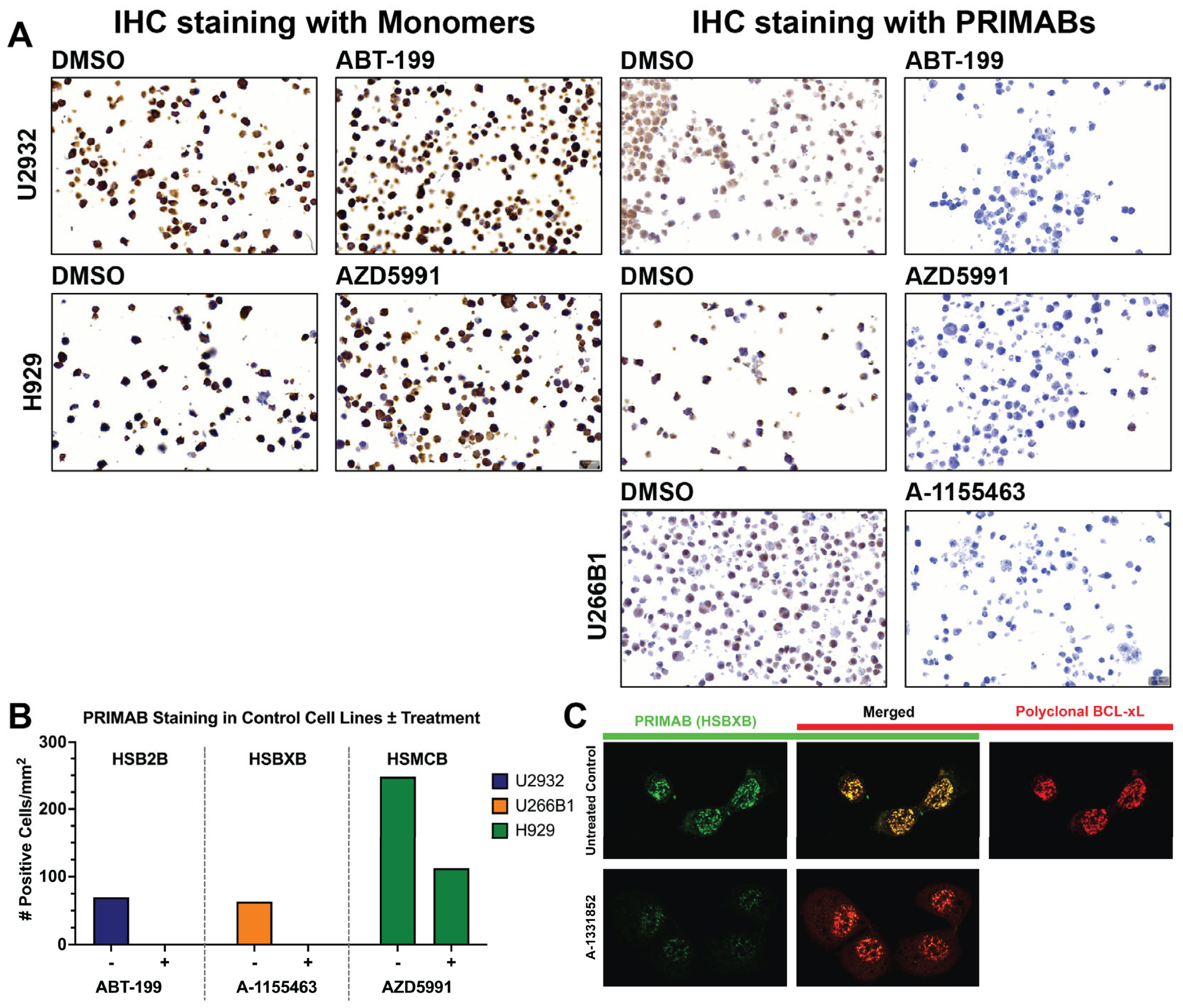 Cancers 17 01852 g003