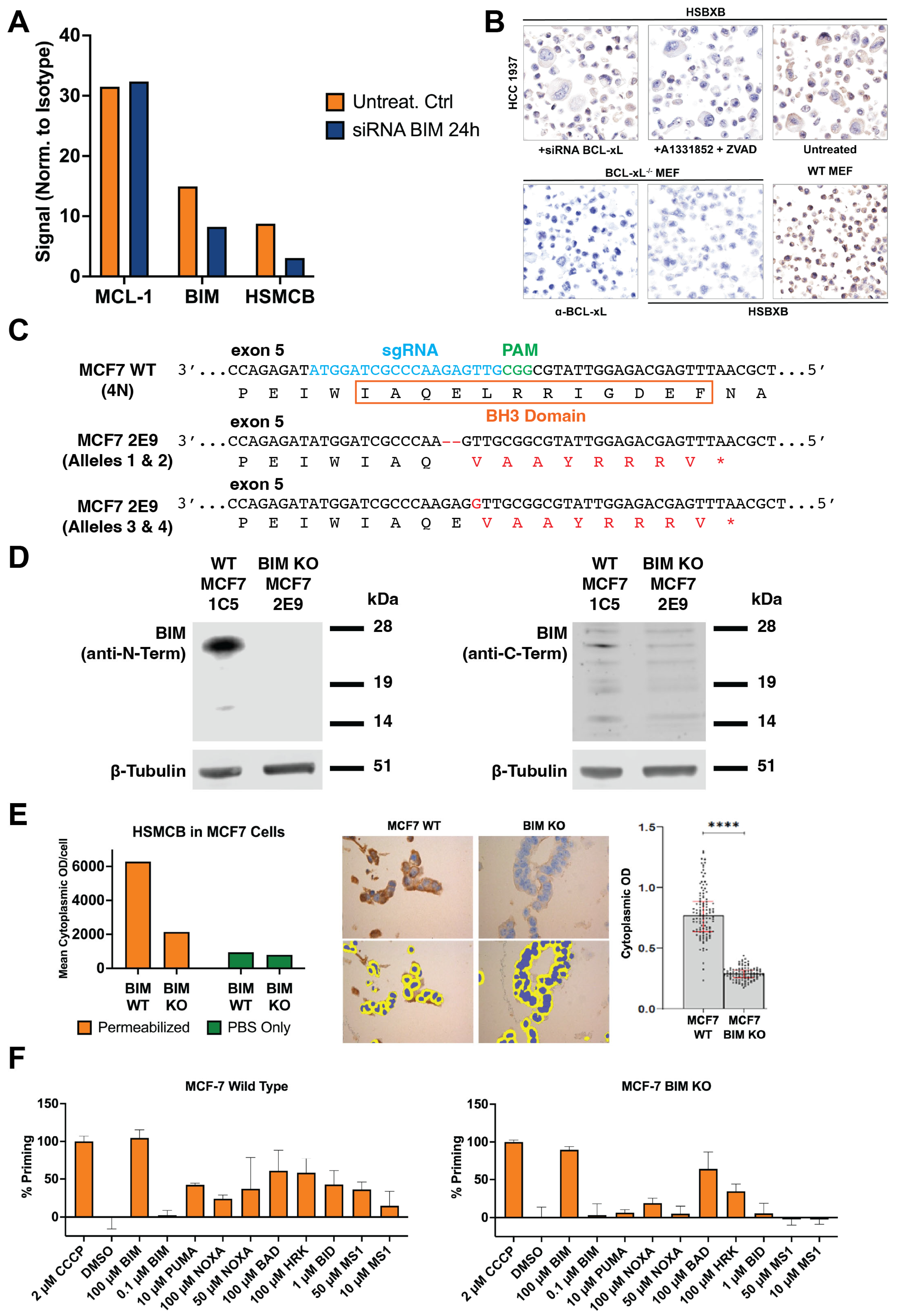 Cancers 17 01852 g004