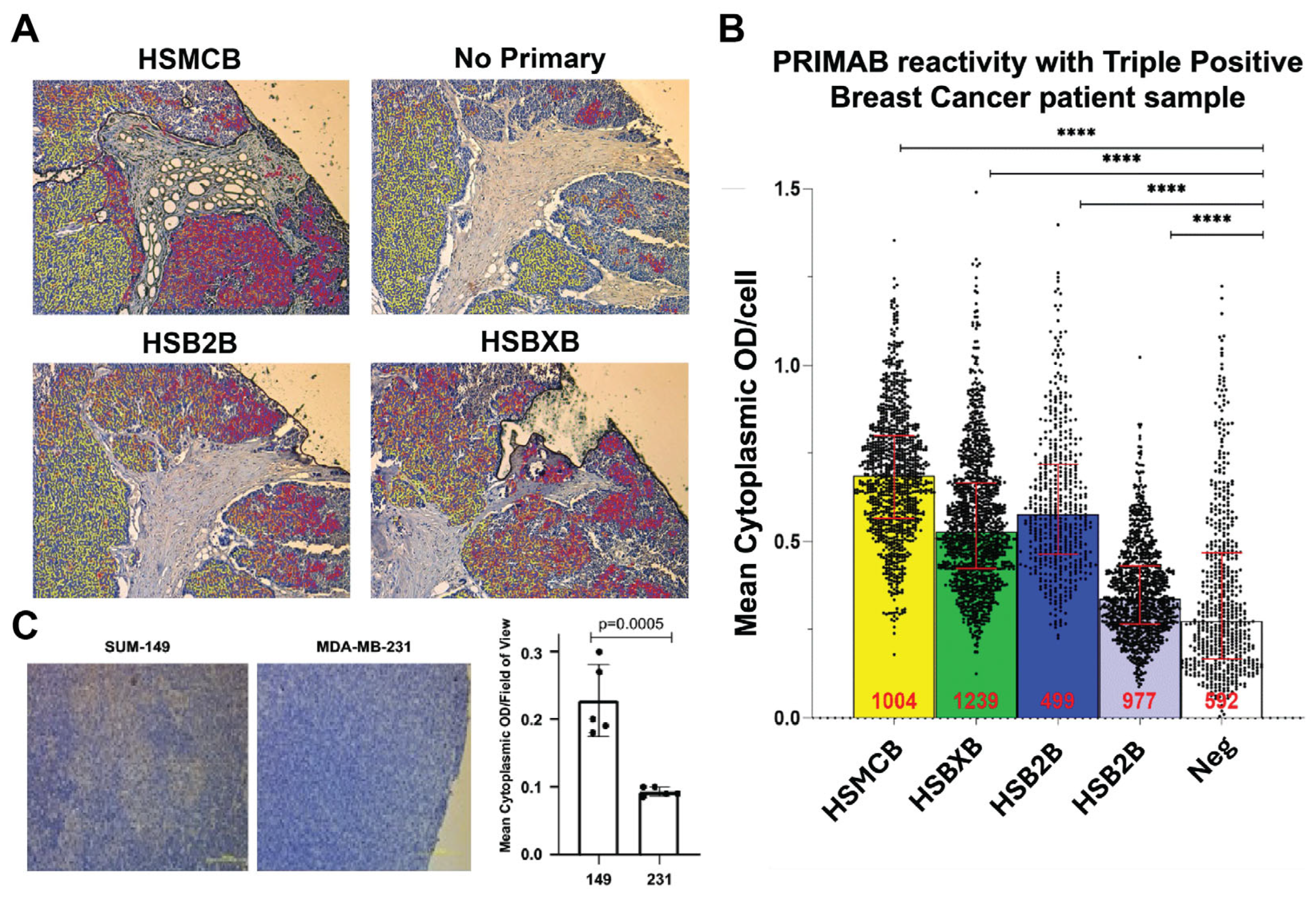Cancers 17 01852 g008
