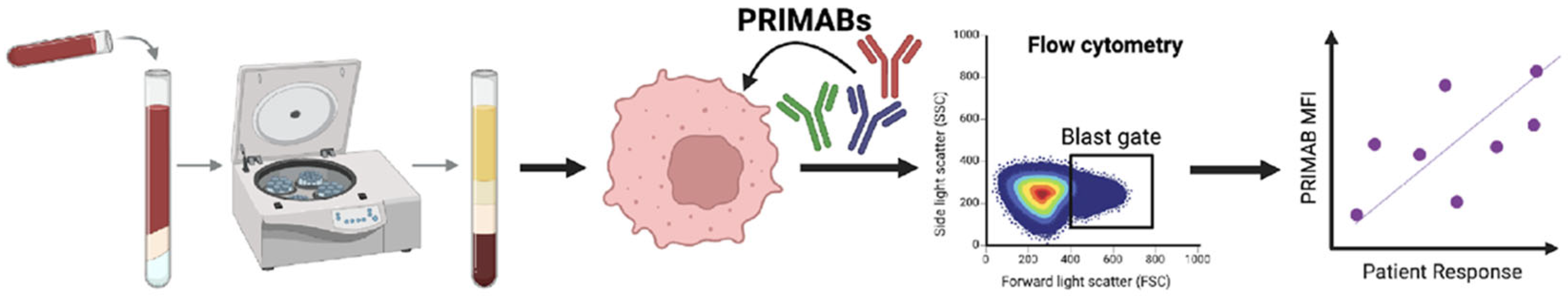 Cancers 17 01852 sch001