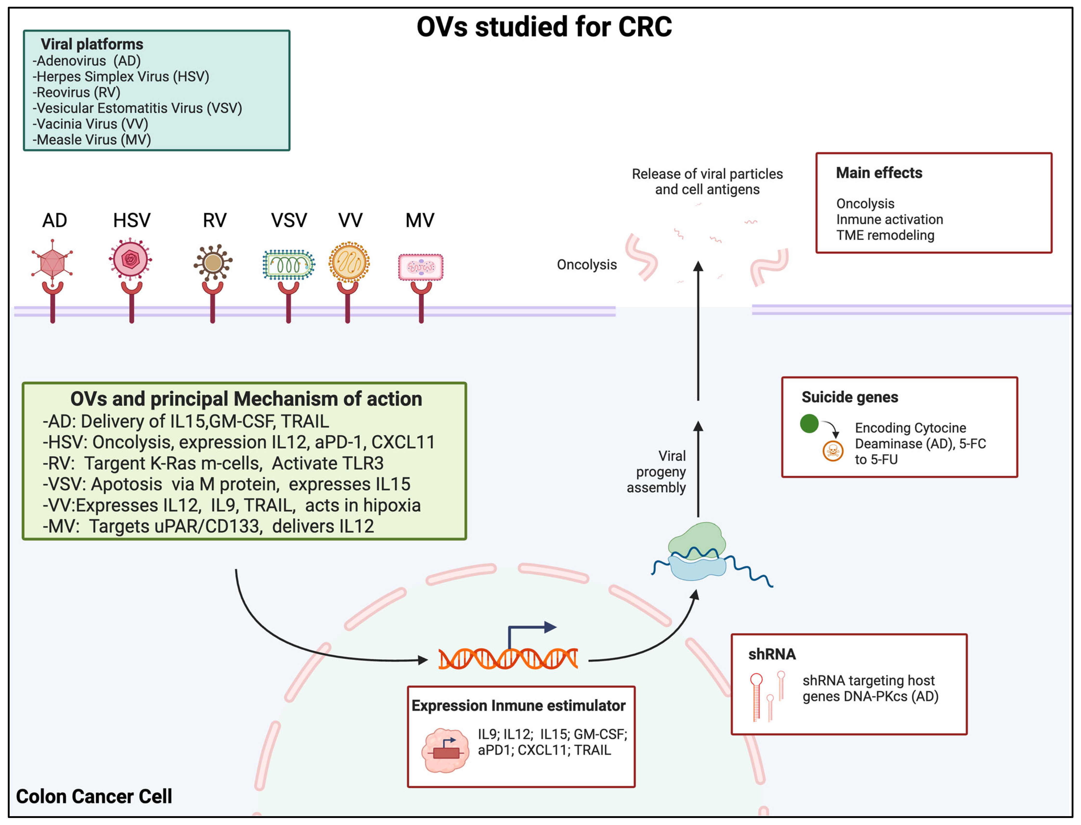 Cancers 17 01854 g001 Cancers 17 01854 g001