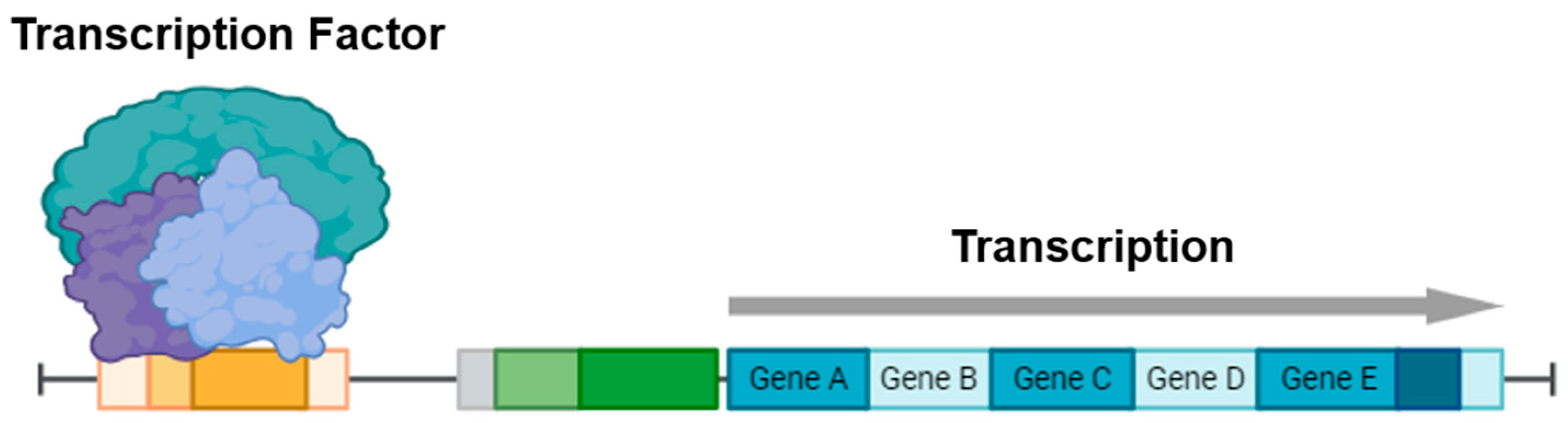 Cancers 17 01871 g001