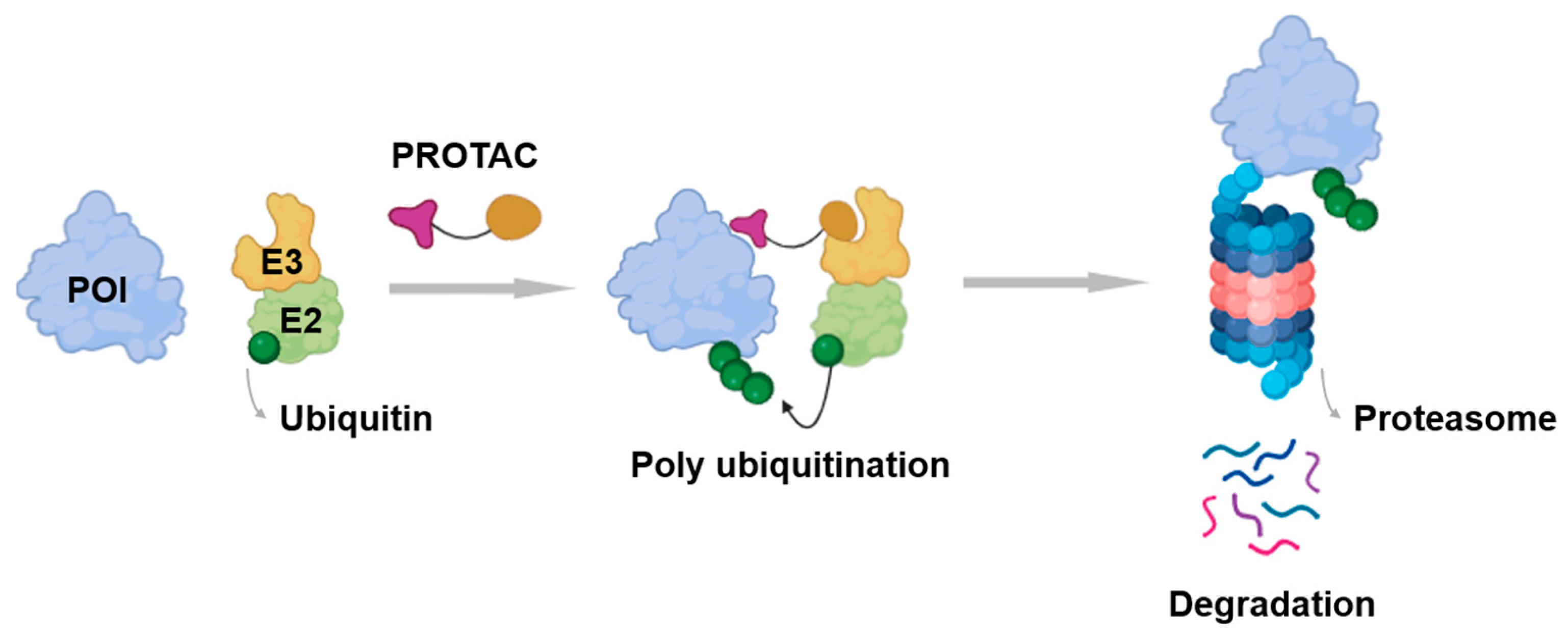 Cancers 17 01871 g002