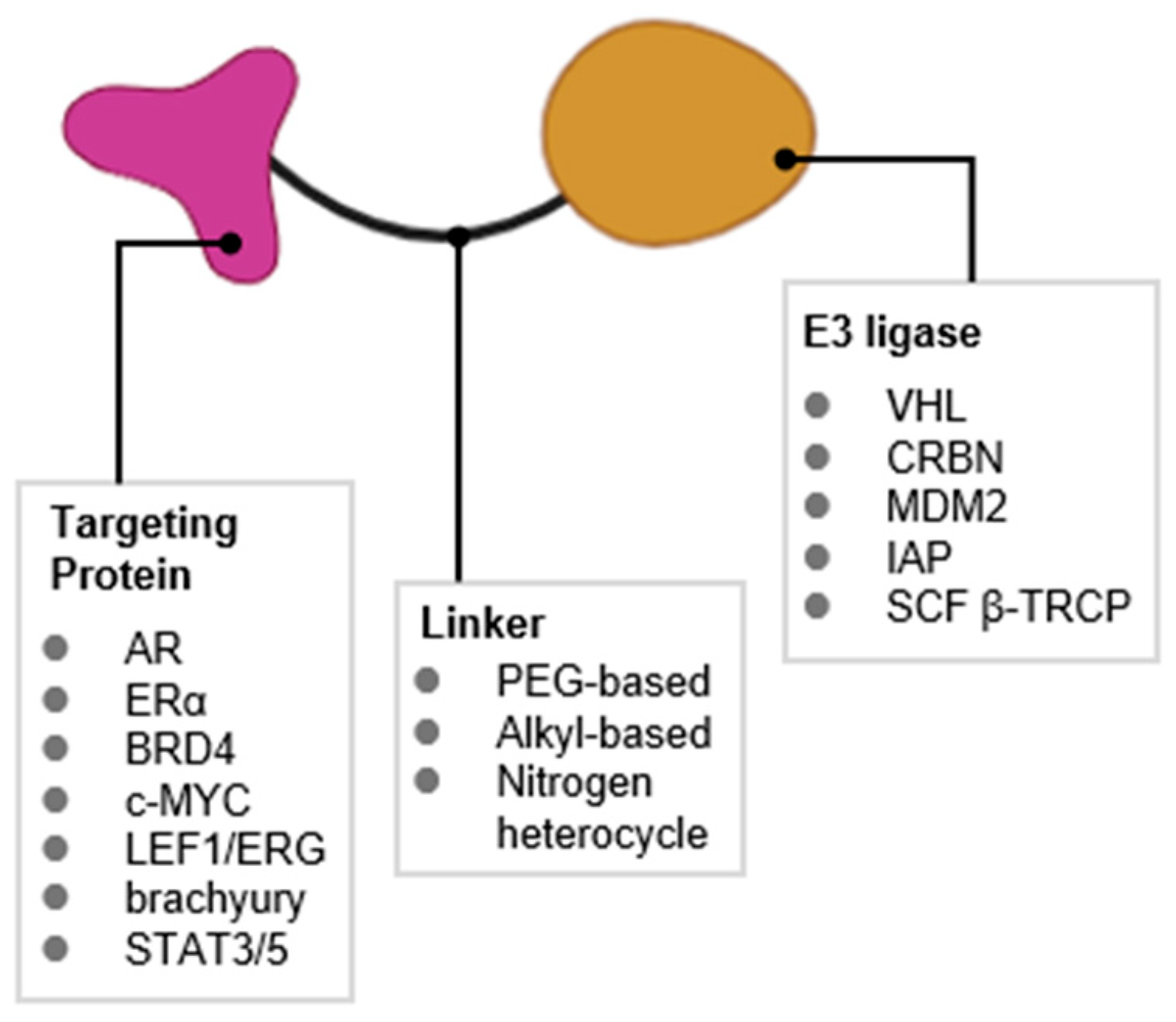 Cancers 17 01871 g003