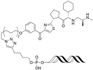 Cancers 17 01871 i027