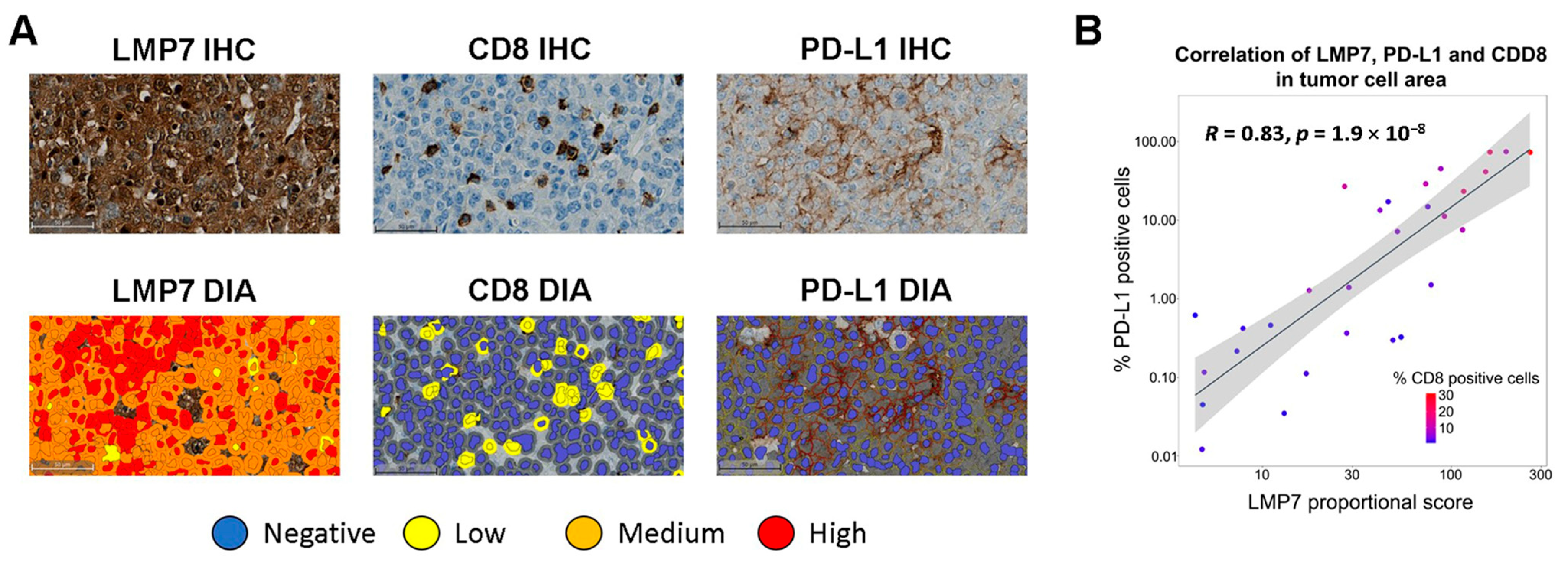 Cancers 17 01887 g001