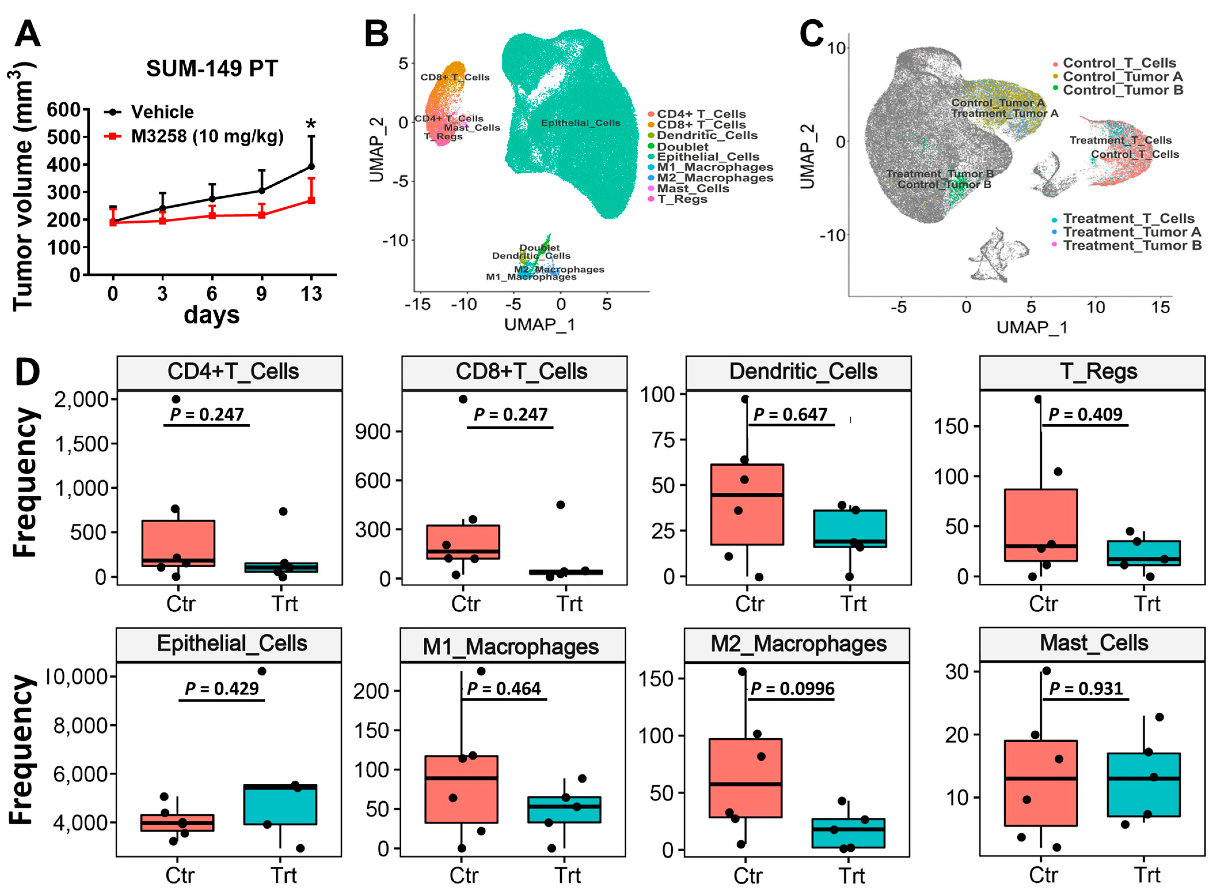 Cancers 17 01887 g004