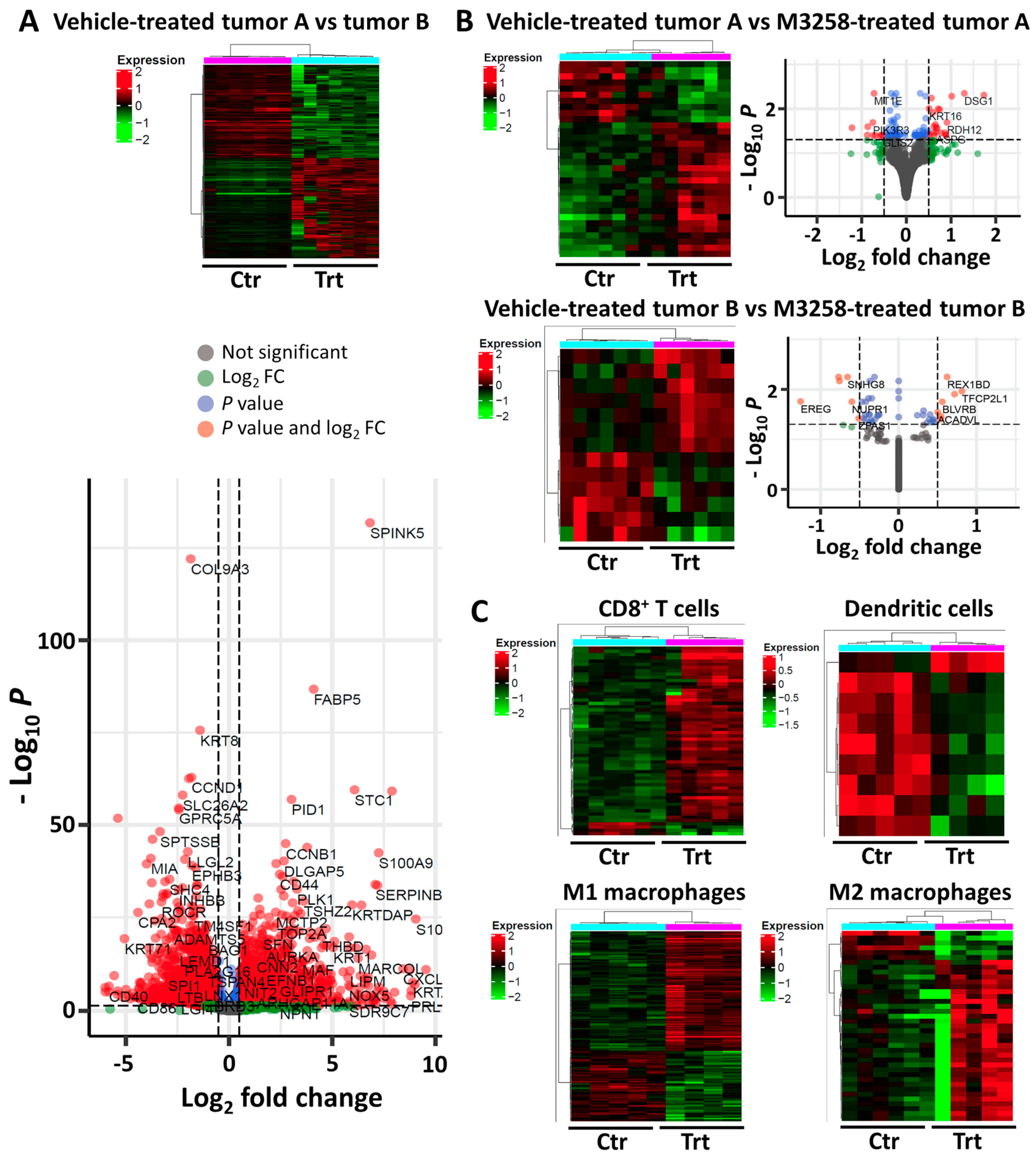 Cancers 17 01887 g005