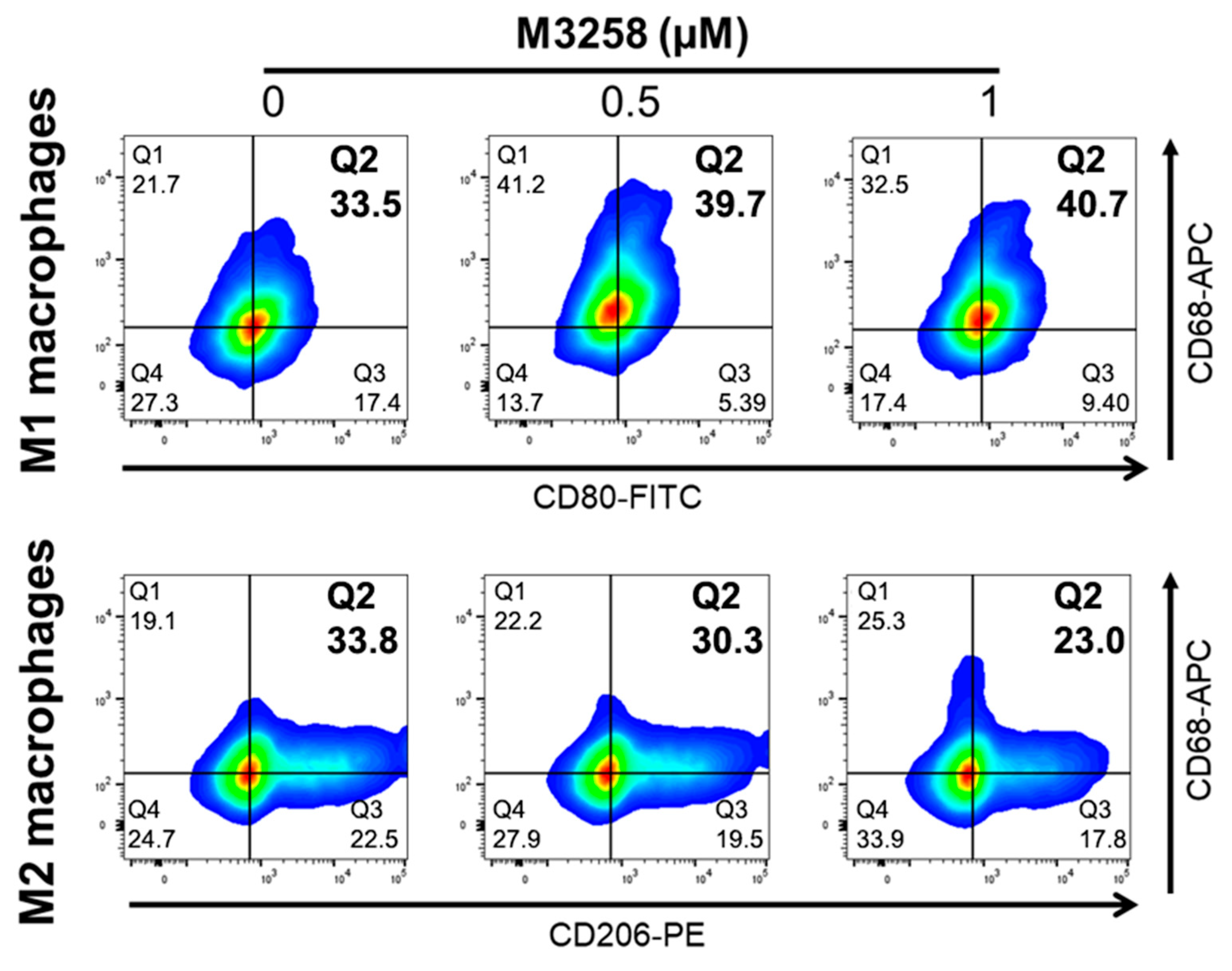 Cancers 17 01887 g006