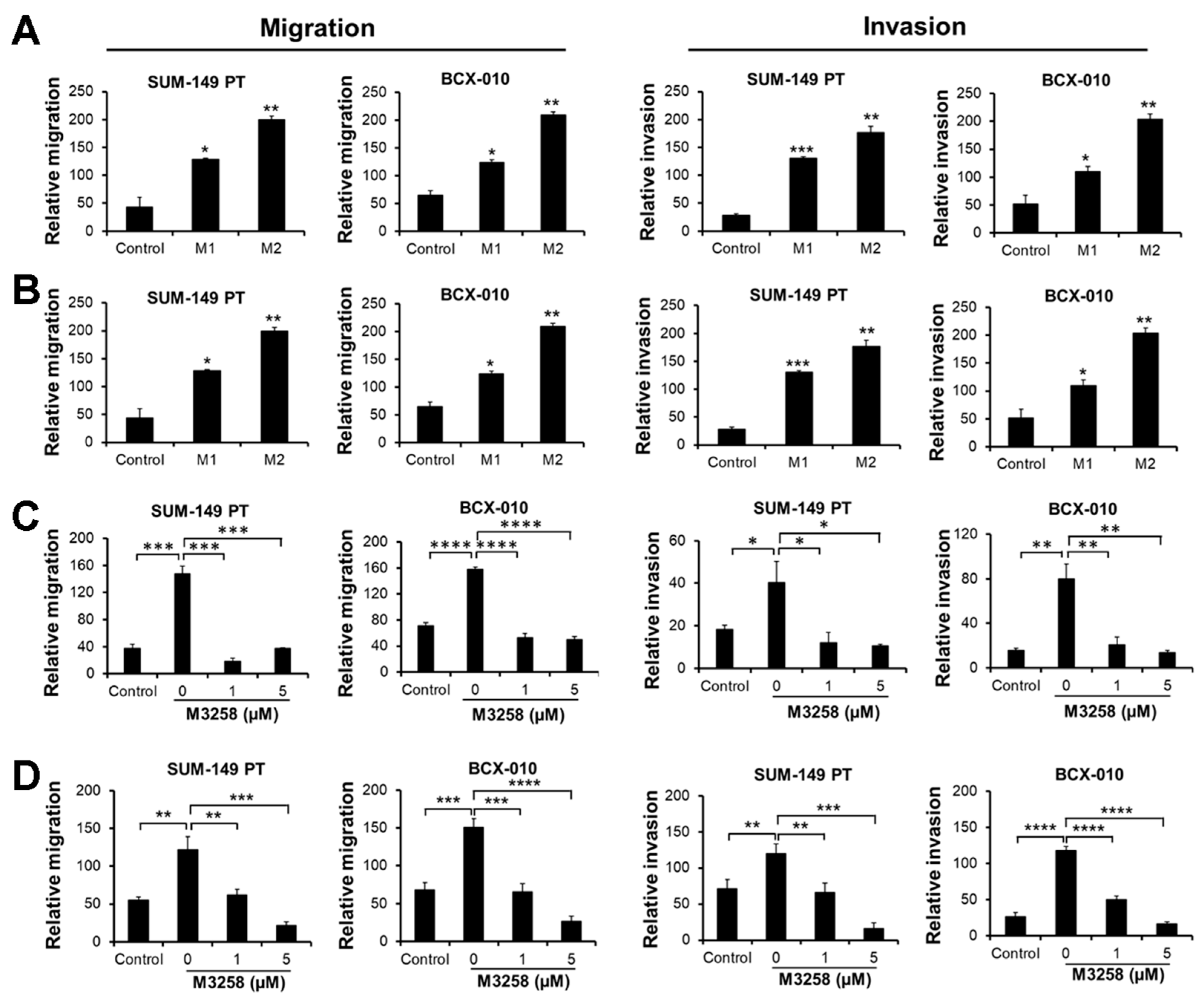 Cancers 17 01887 g007