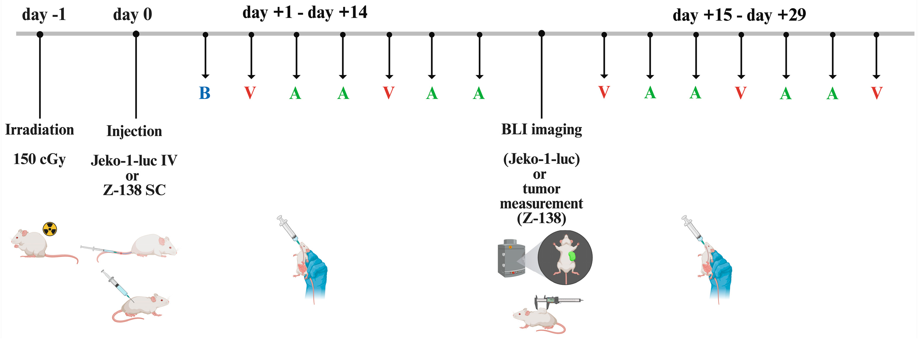 Cancers 17 01889 g003