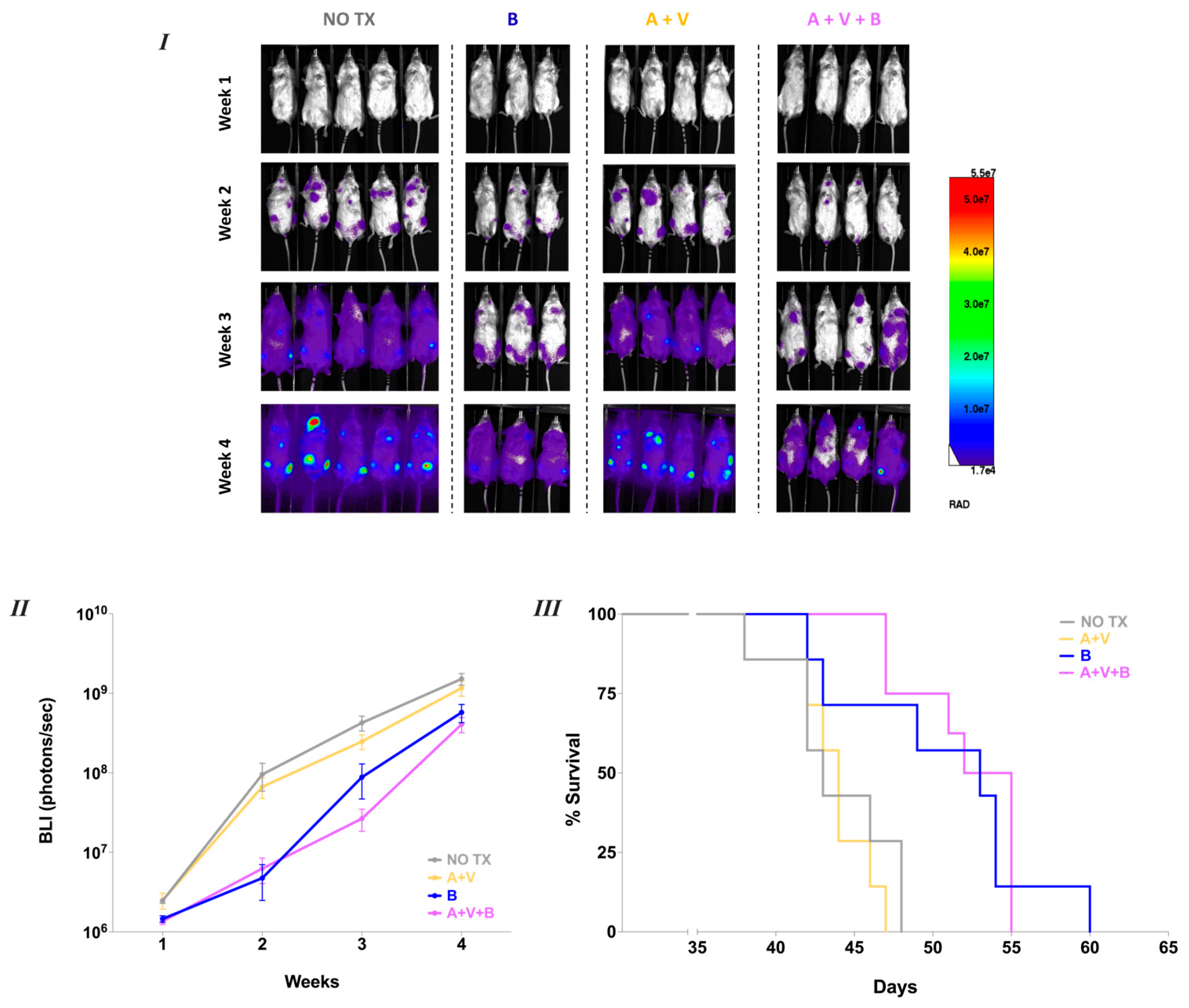 Cancers 17 01889 g004