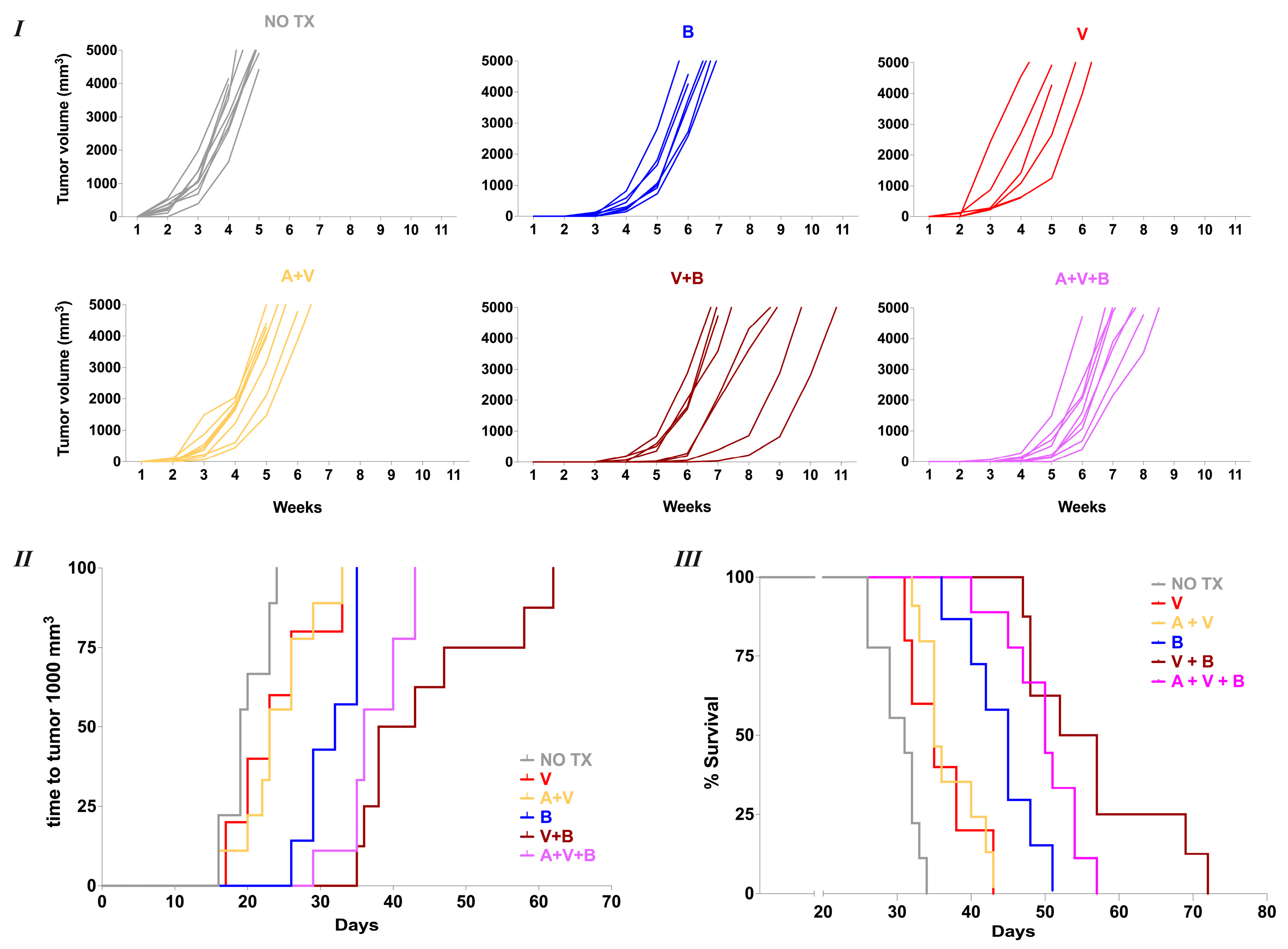 Cancers 17 01889 g005