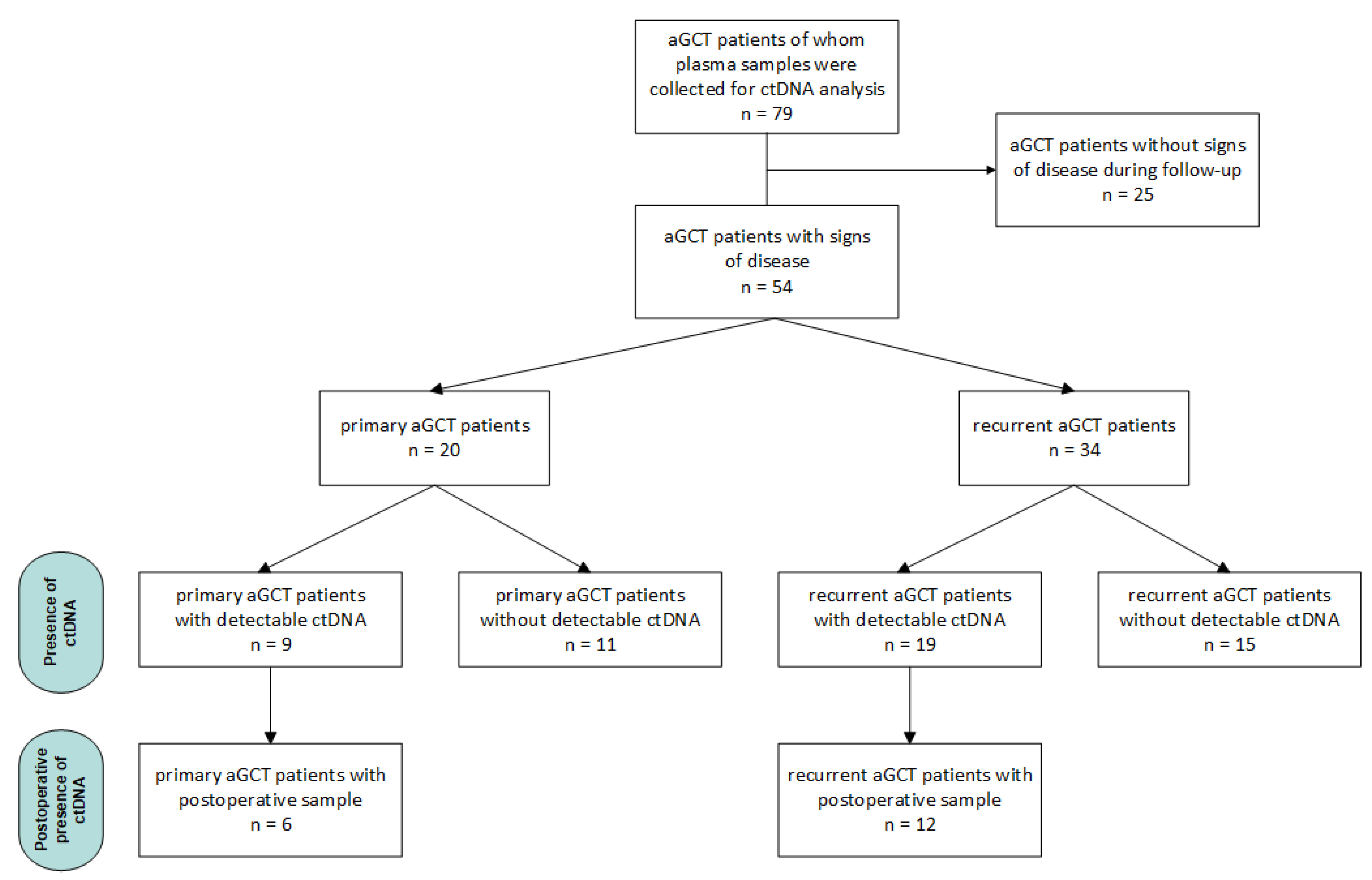 Cancers 17 01894 g001