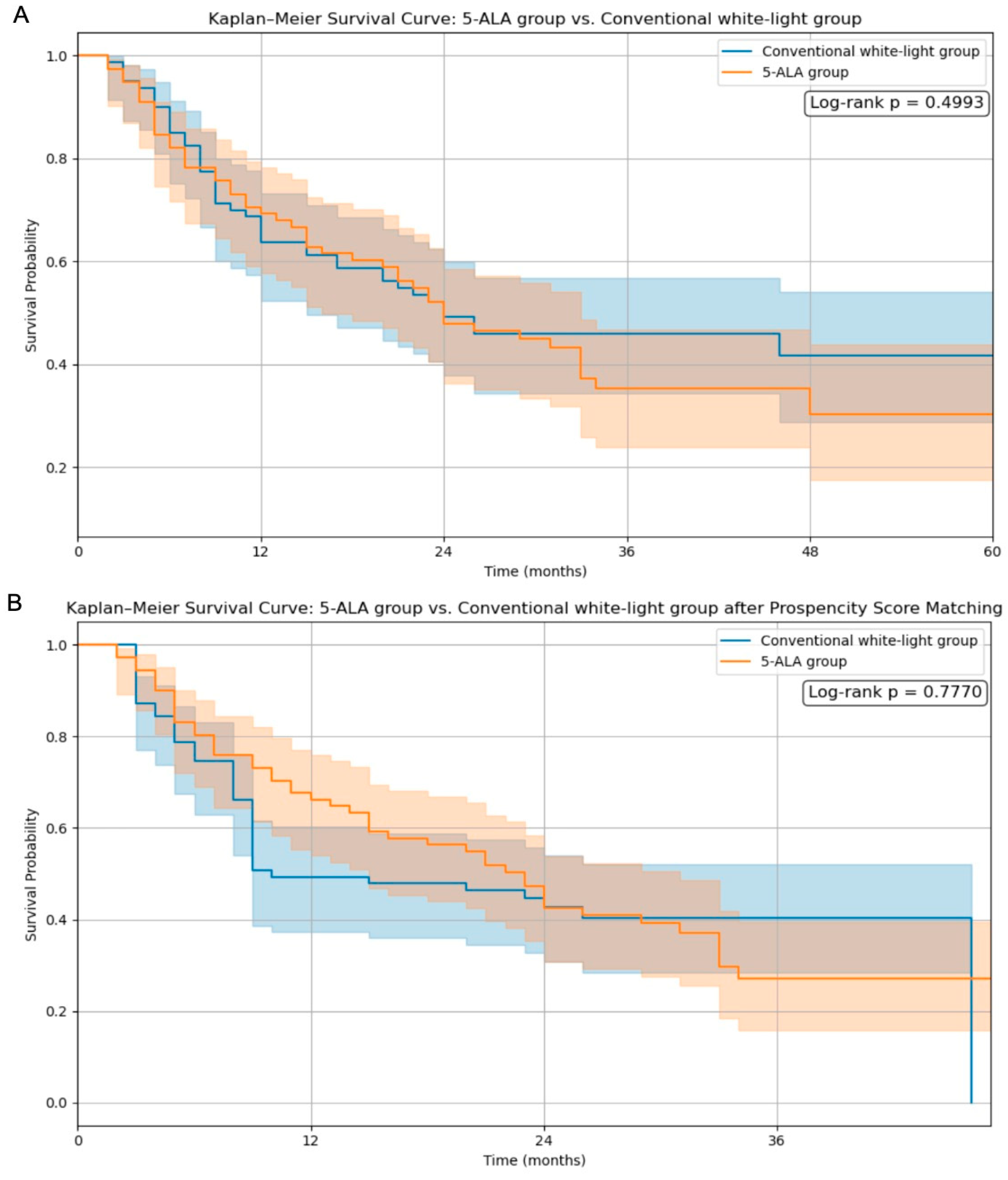 Cancers 17 01897 g001
