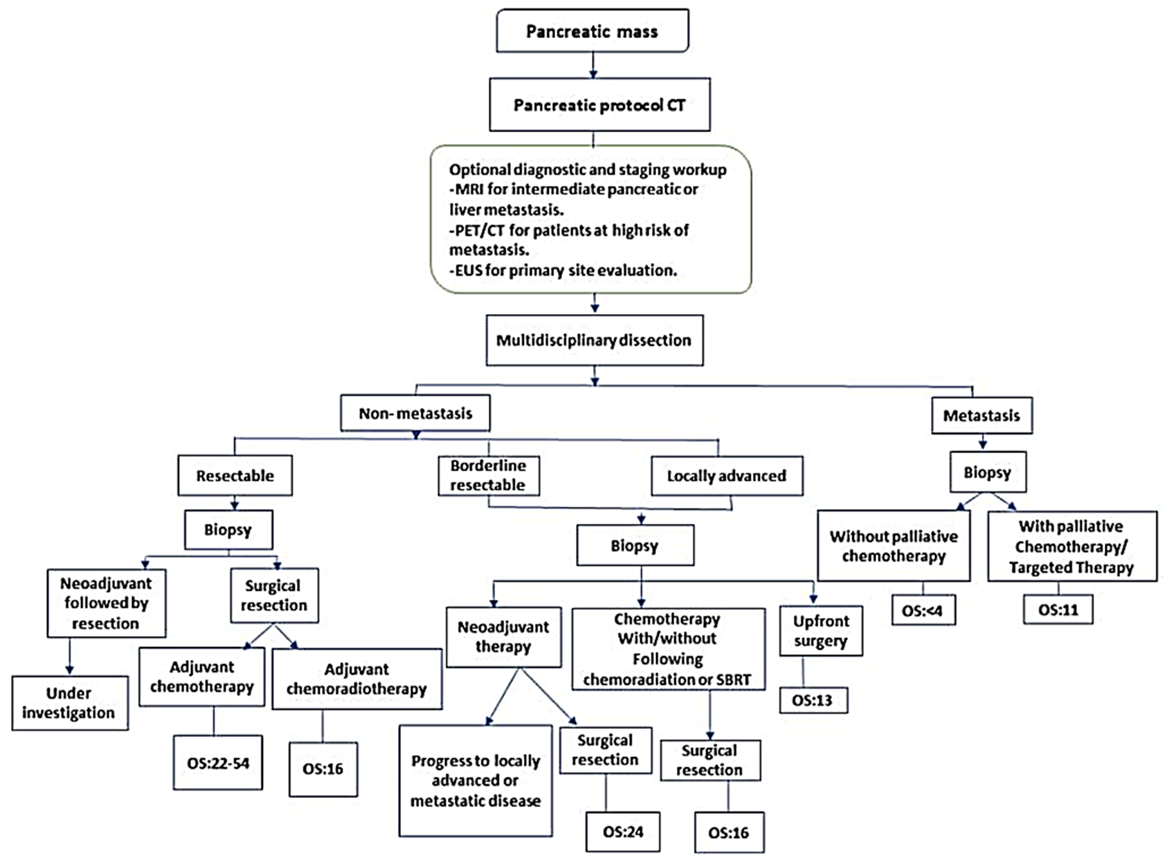 Cancers 17 01899 g001