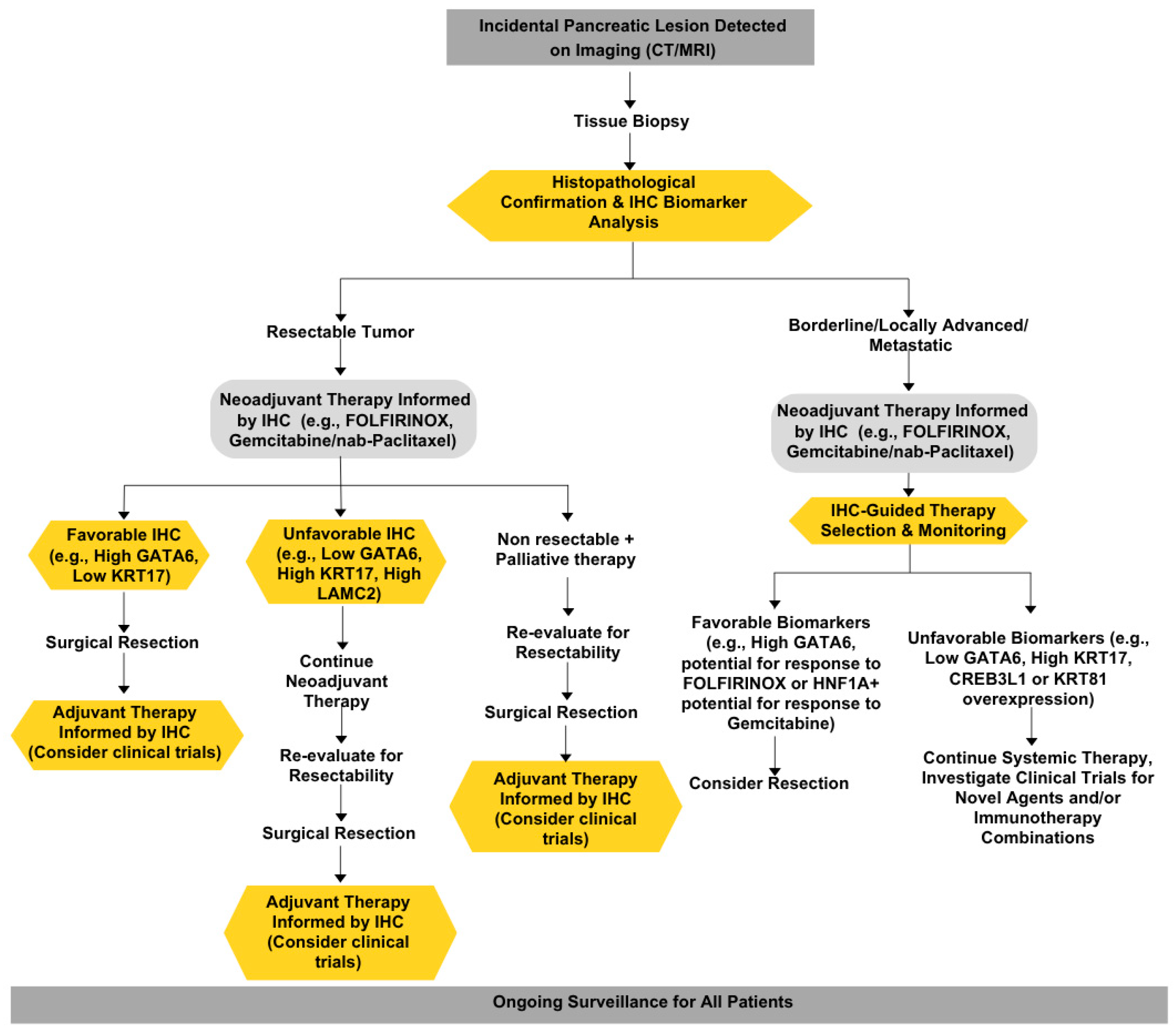 Cancers 17 01899 g003