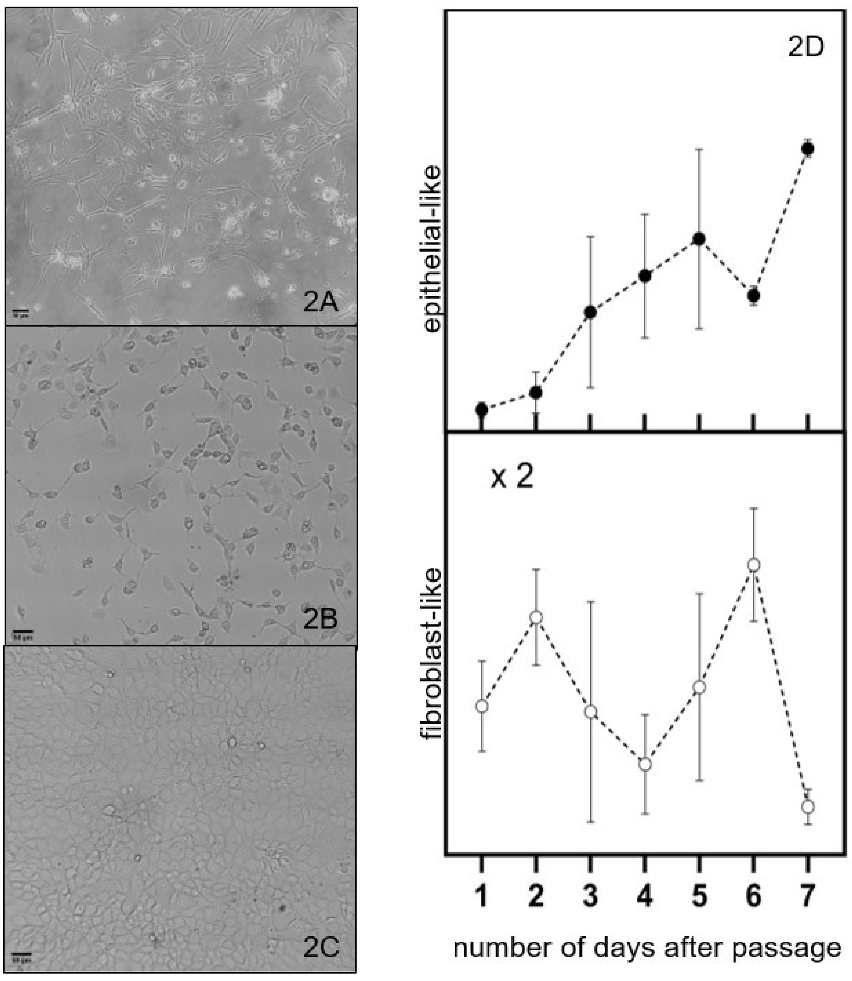 Cancers 17 01903 g002
