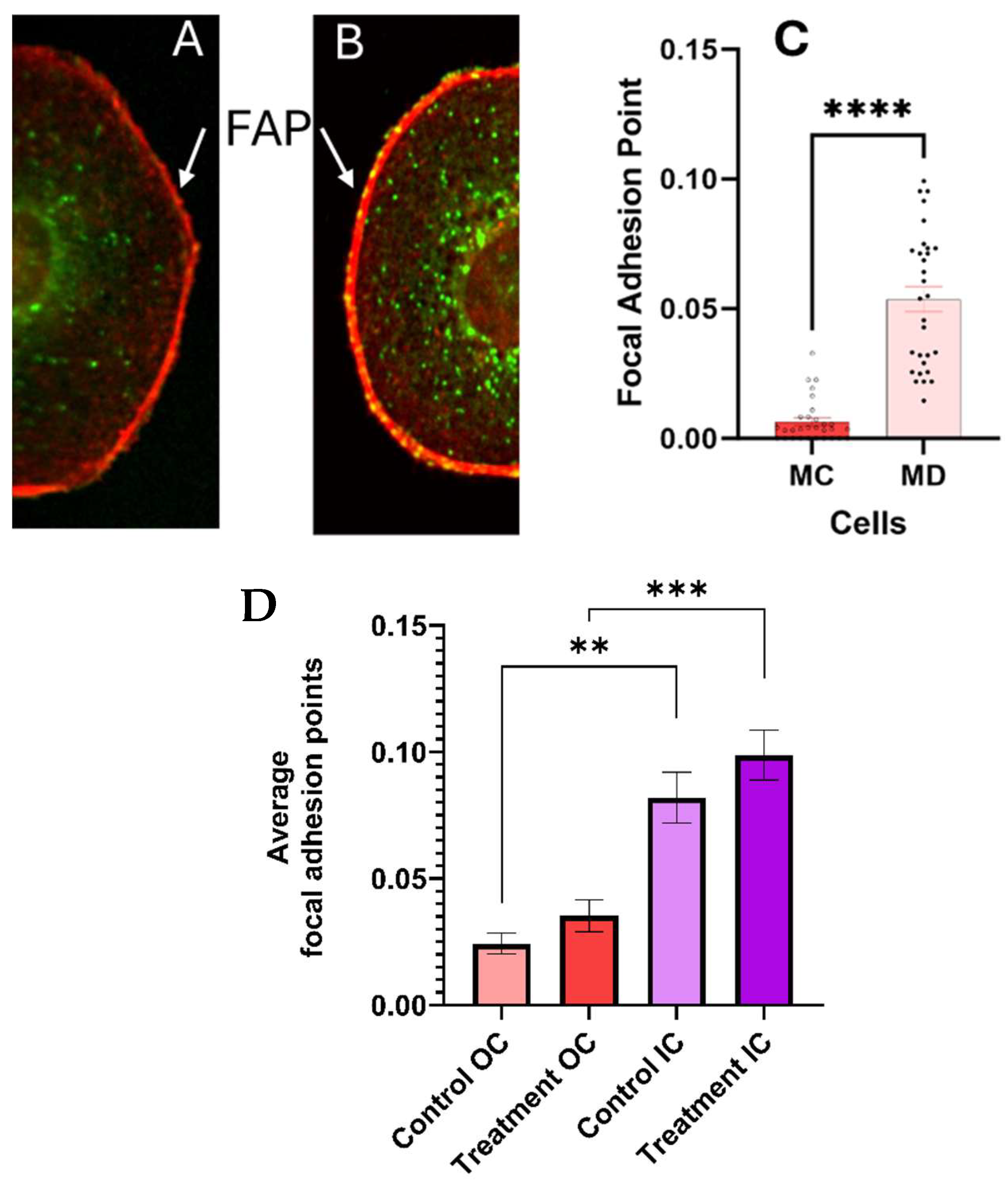 Cancers 17 01903 g007