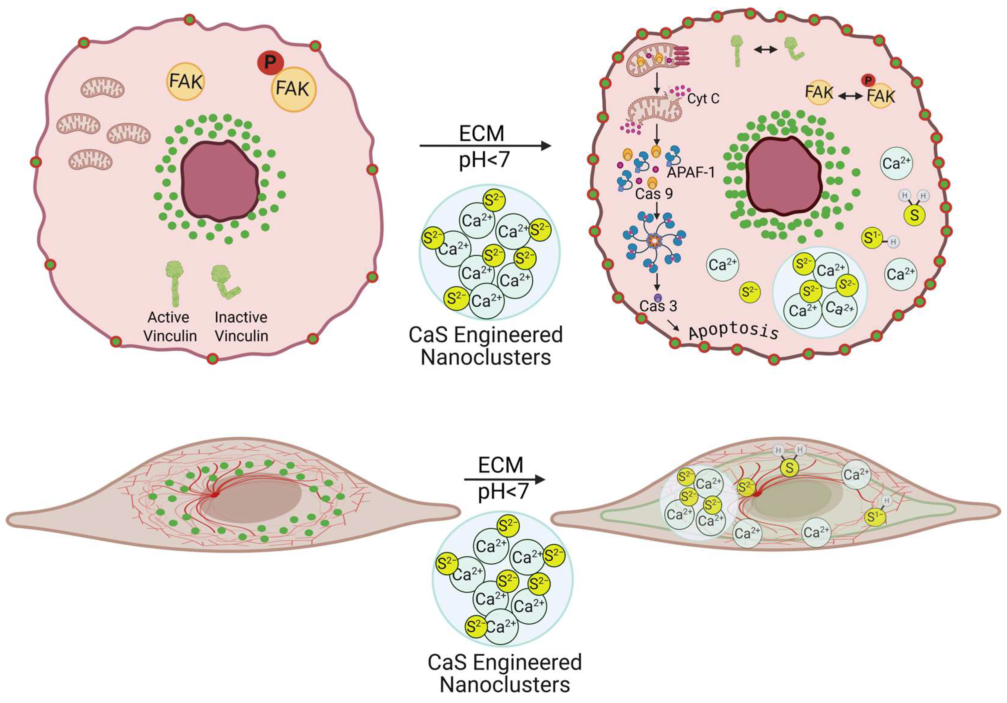 Cancers 17 01903 g010