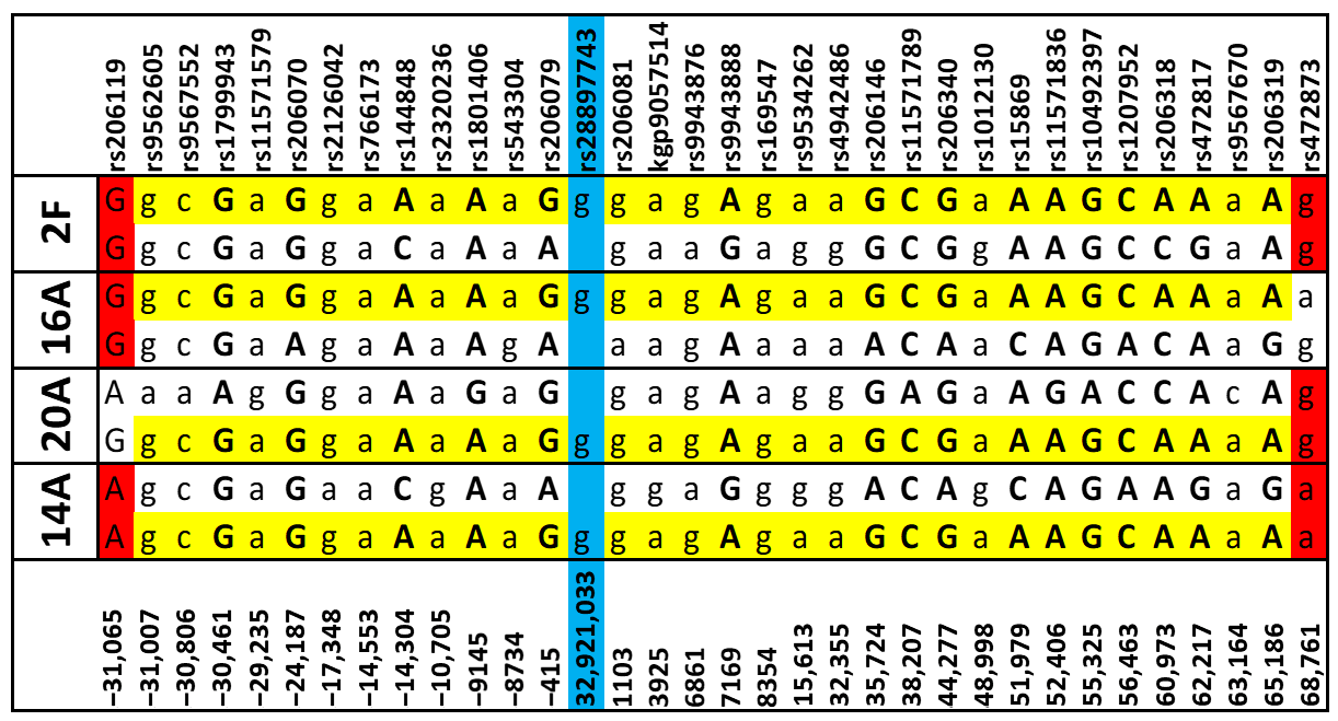 Cancers 17 01906 g001