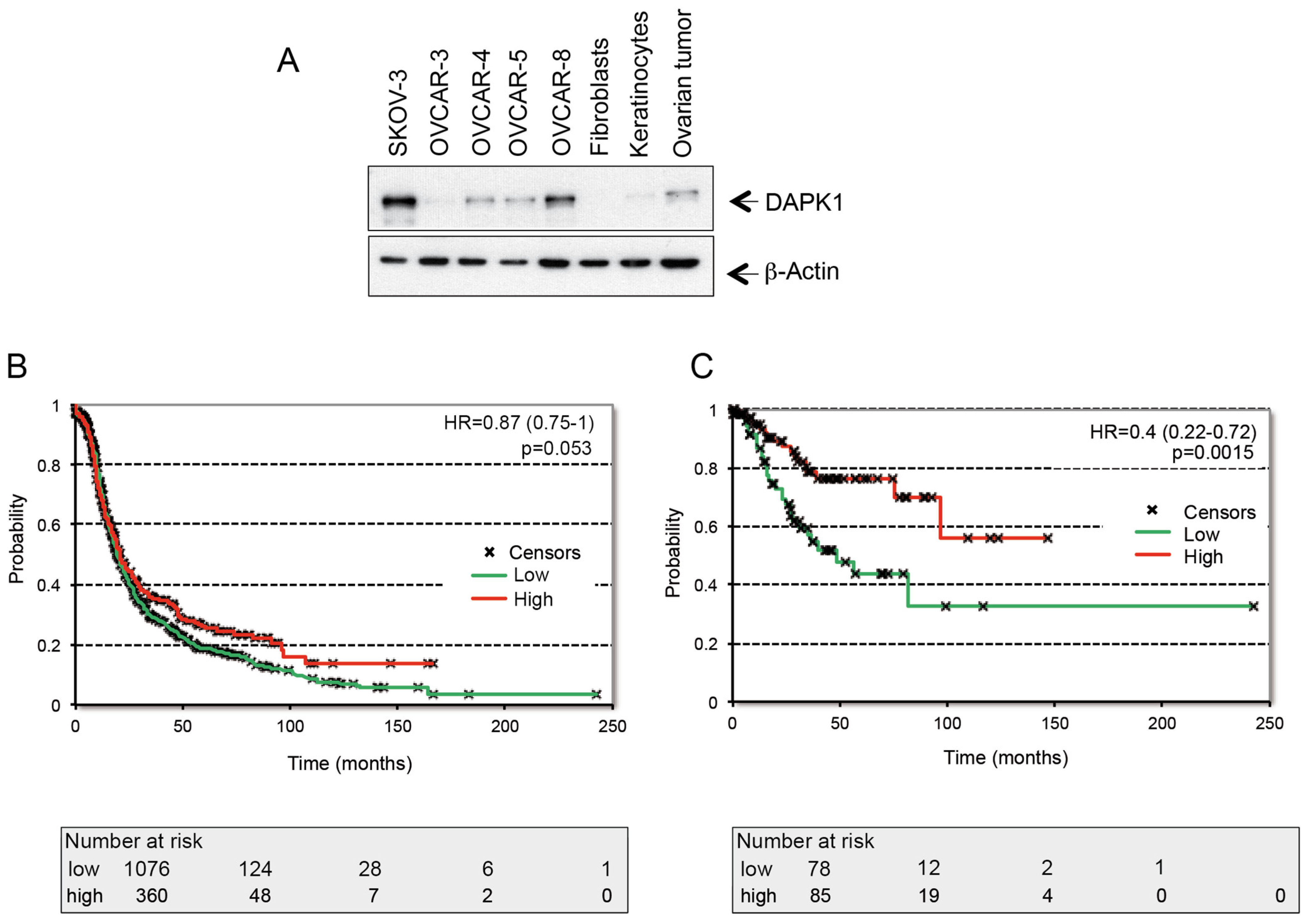 Cancers 17 01910 g001 Cancers 17 01910 g001