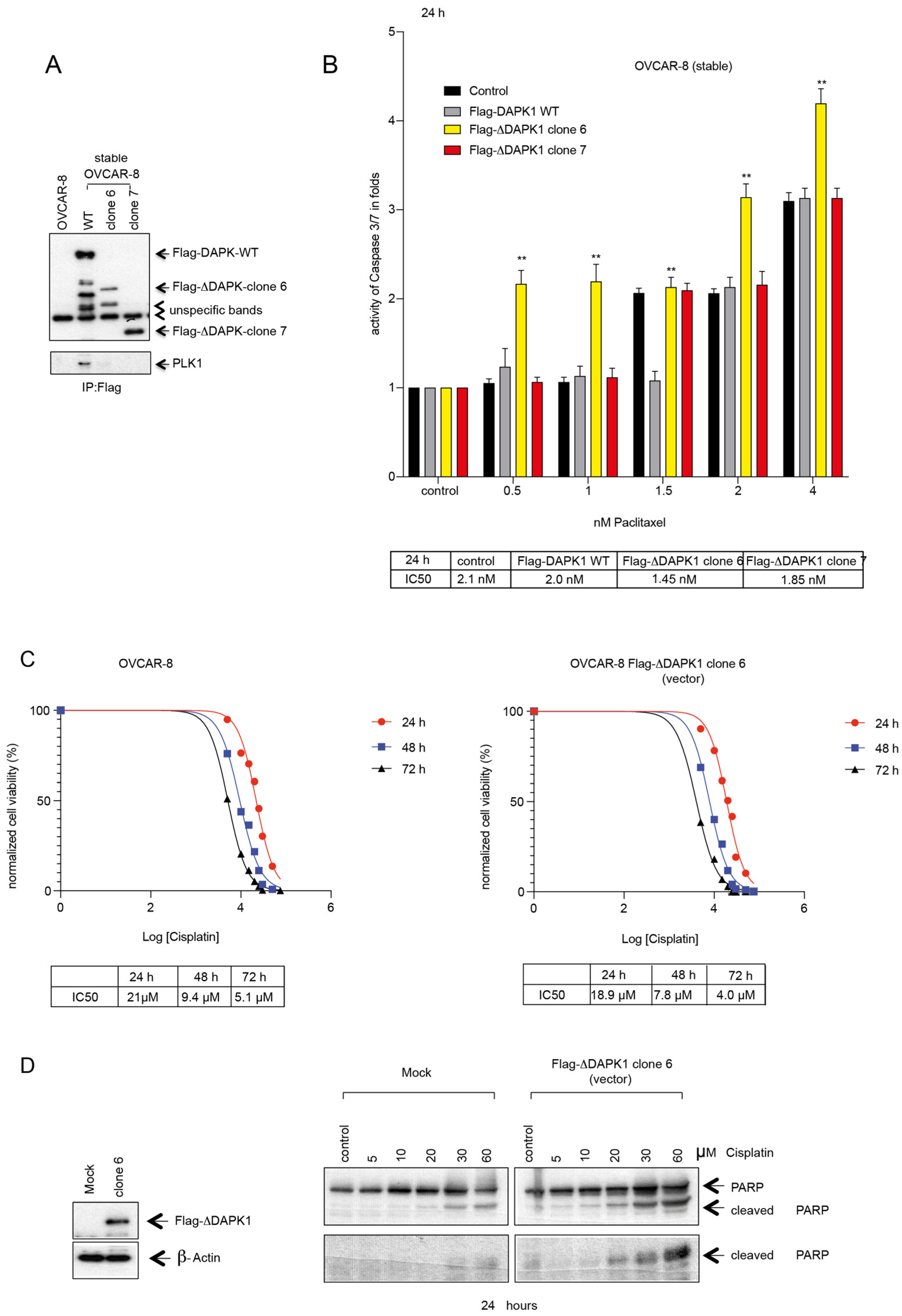 Cancers 17 01910 g007 Cancers 17 01910 g007