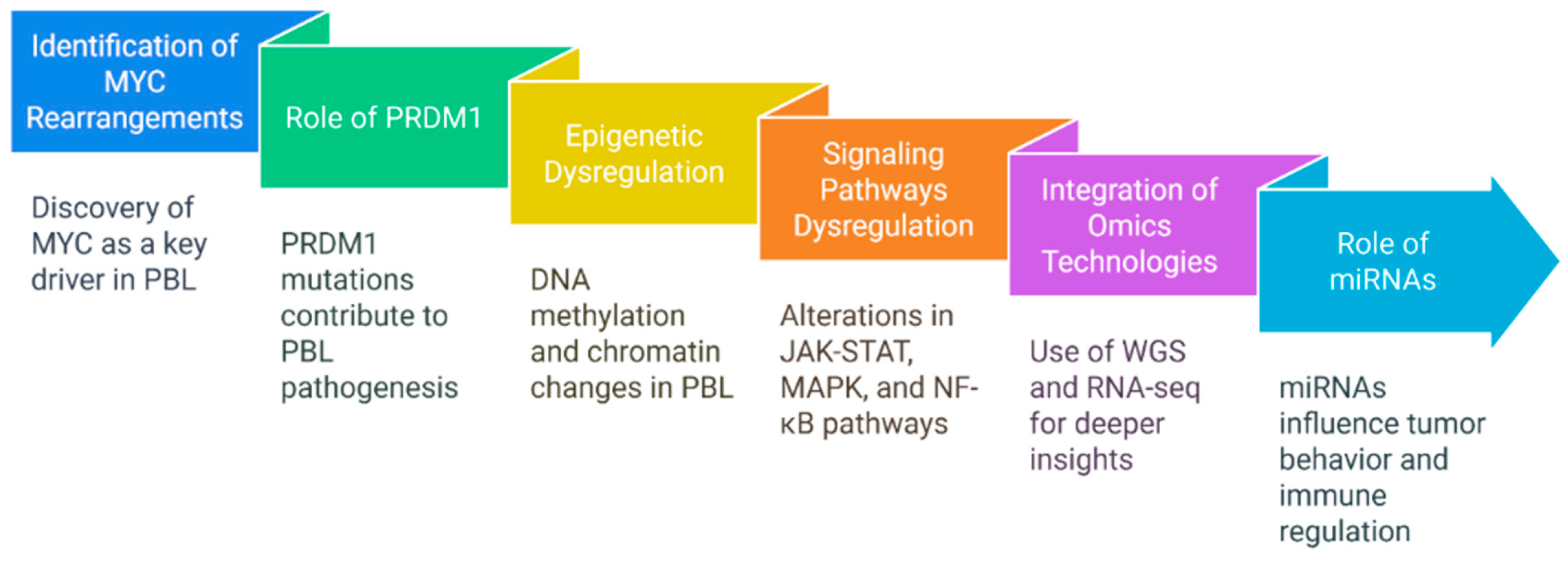 Cancers 17 01914 g005
