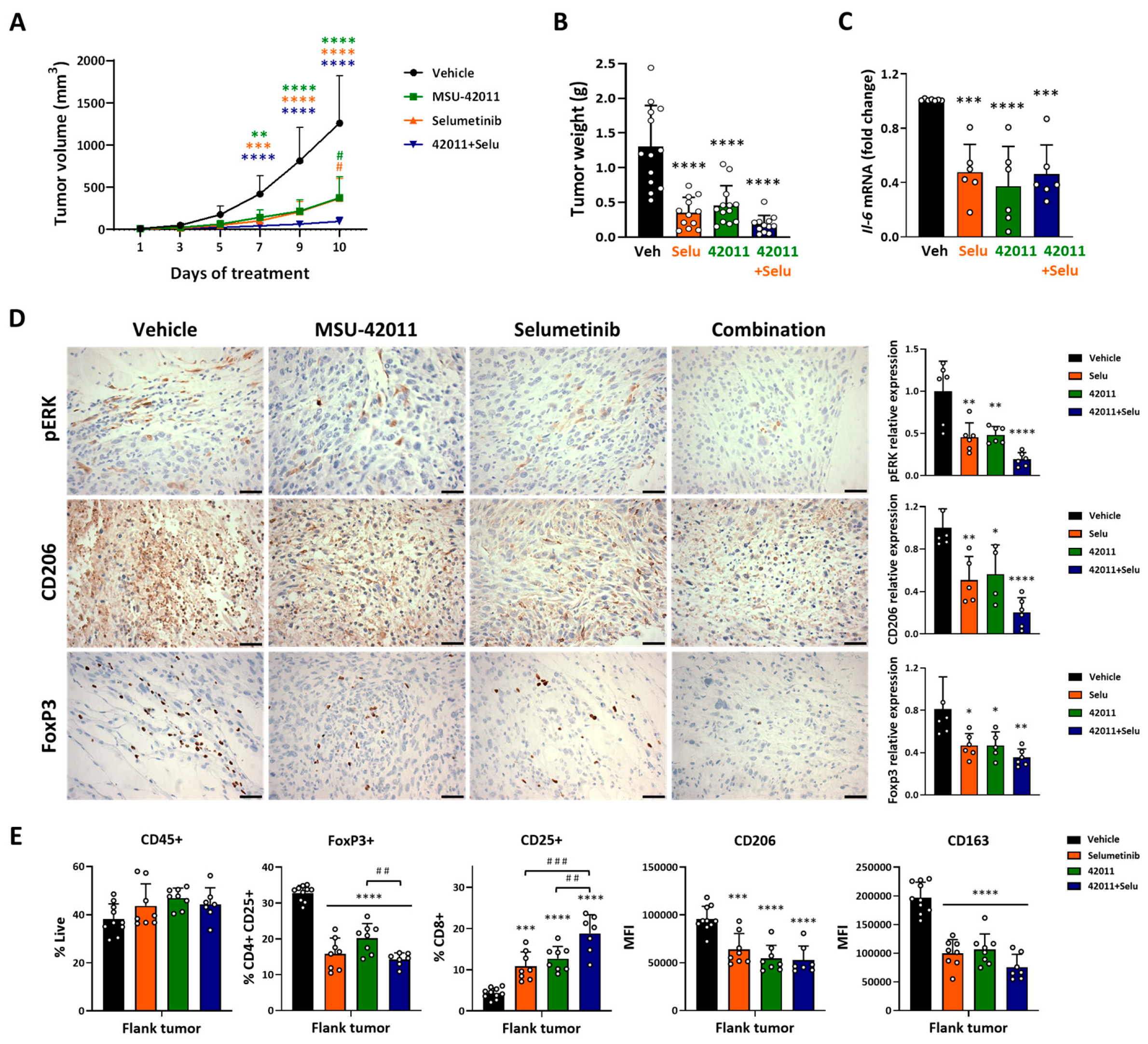 Cancers 17 01920 g002