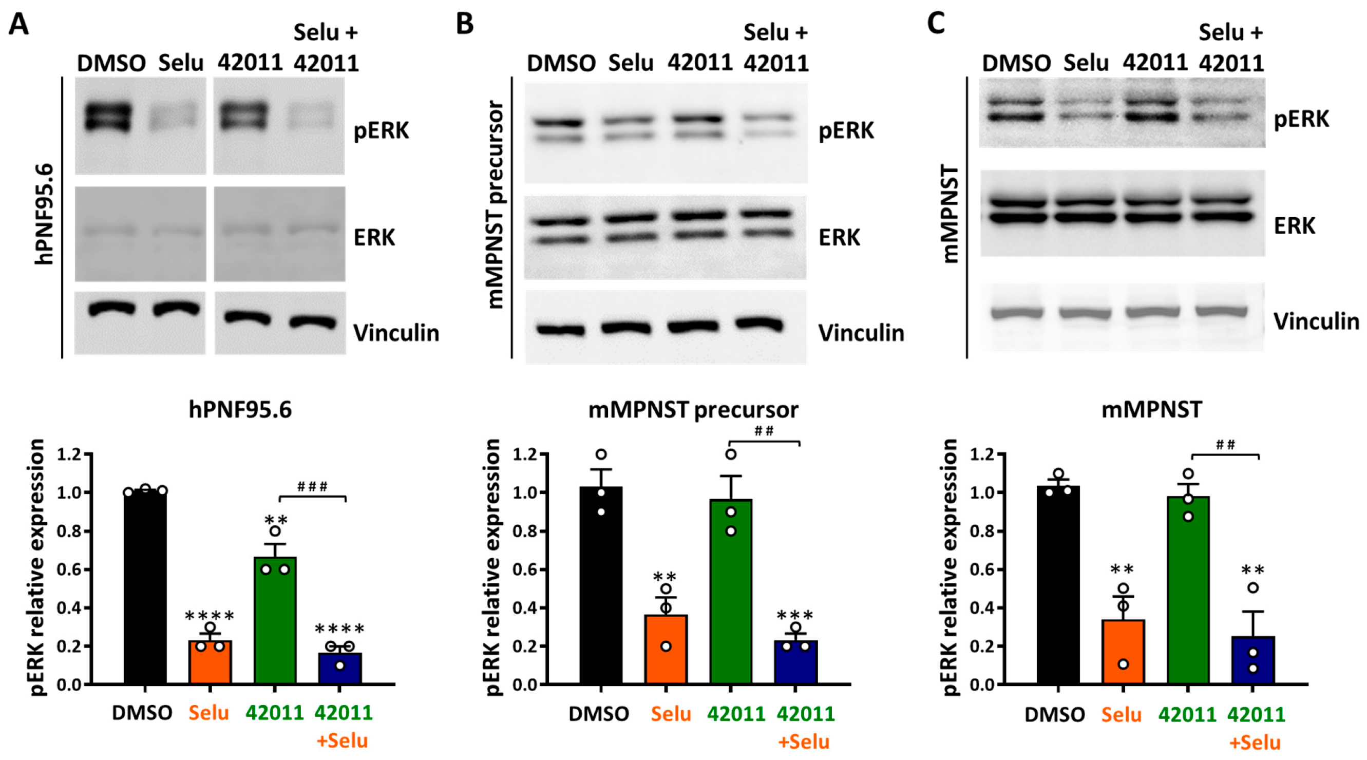 Cancers 17 01920 g003