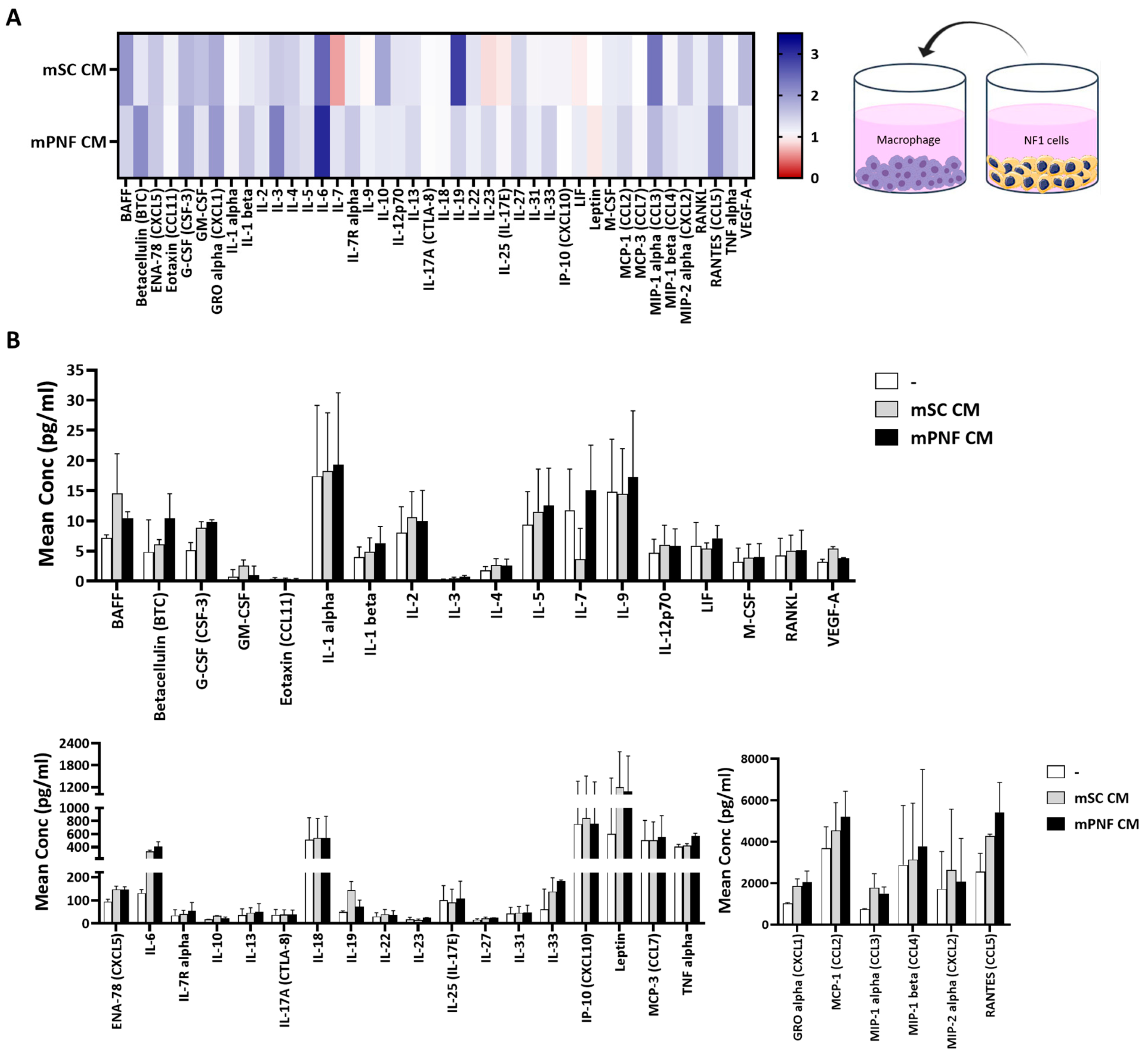 Cancers 17 01920 g004
