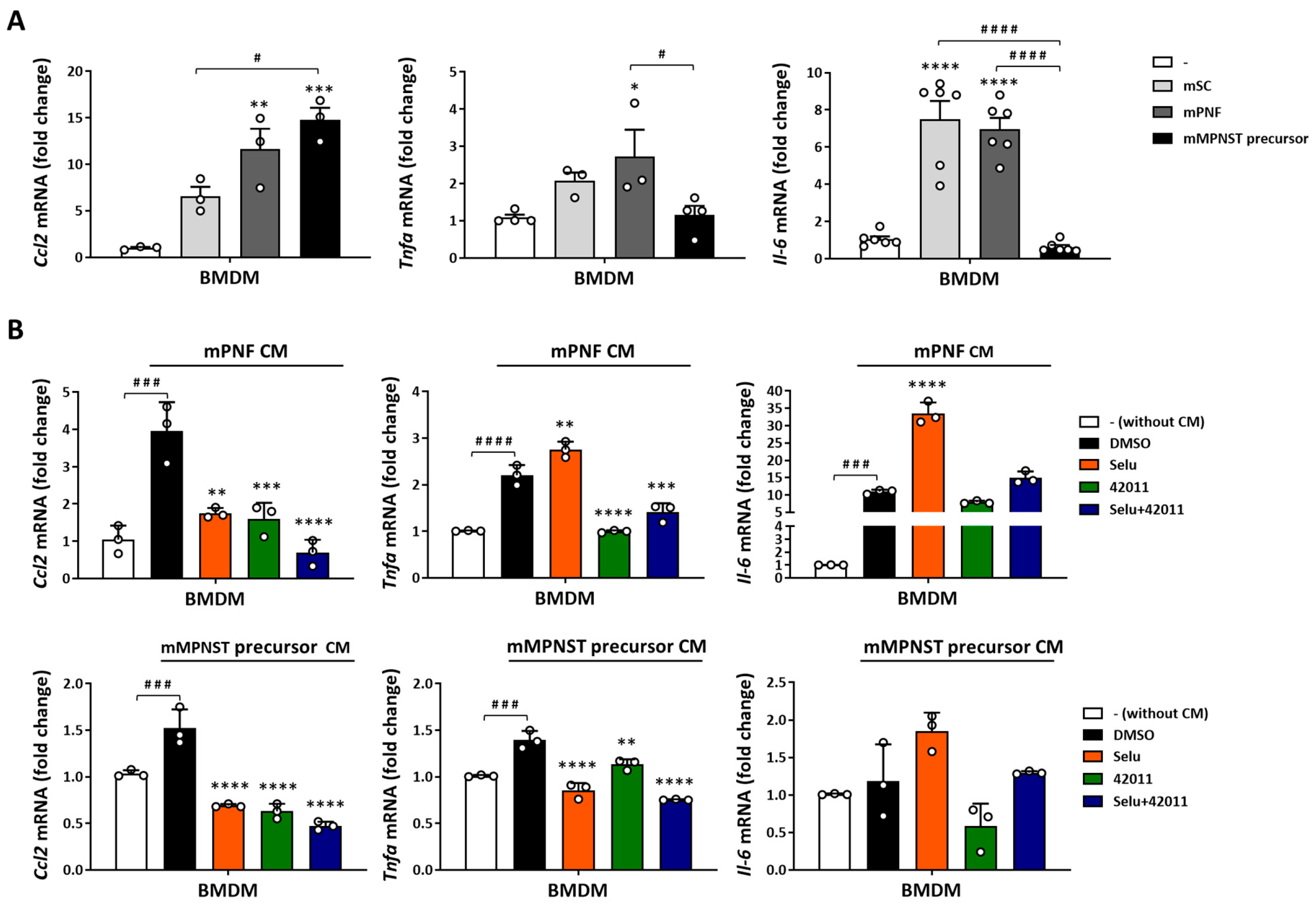 Cancers 17 01920 g005