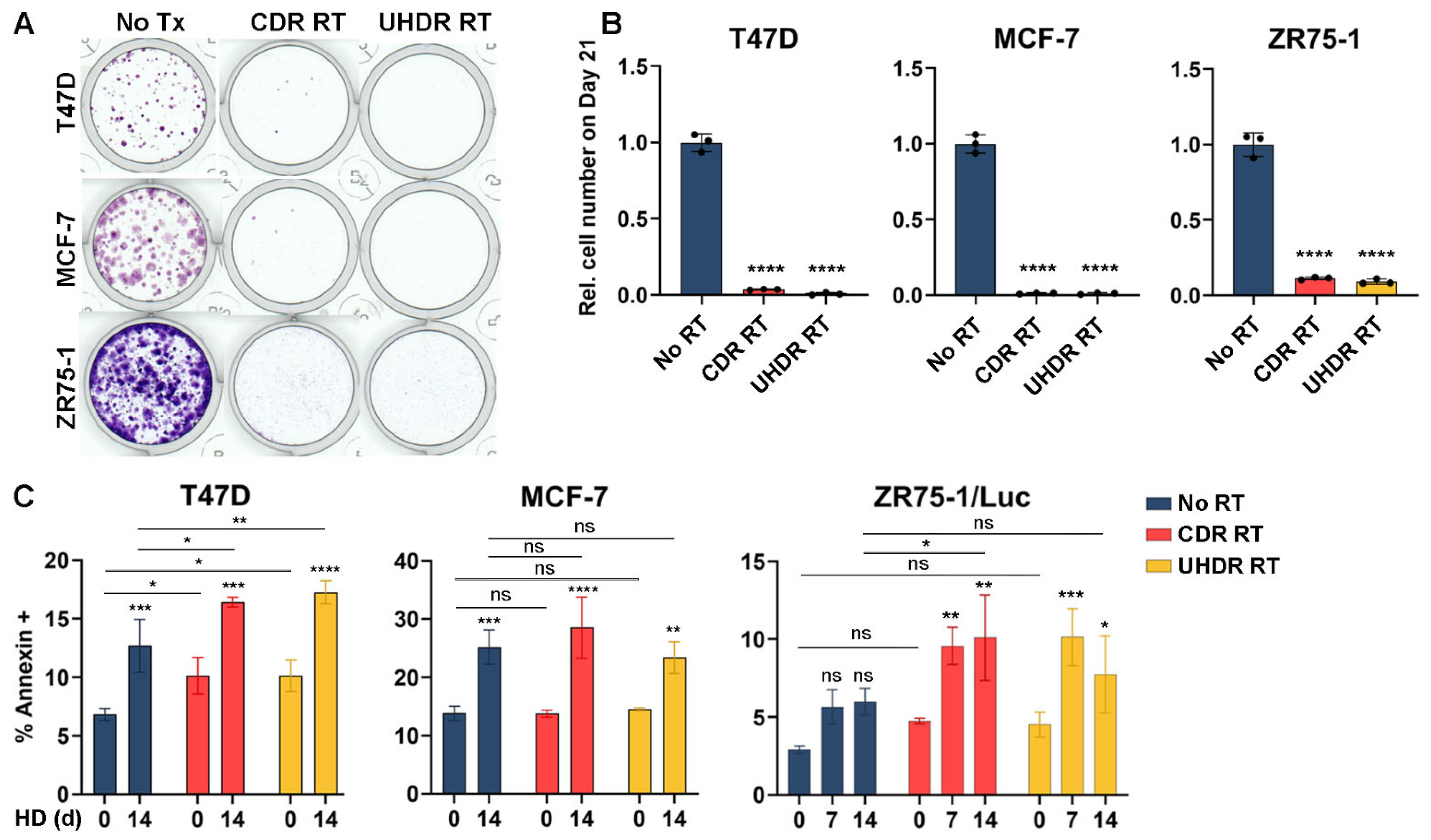 Cancers 17 01921 g003