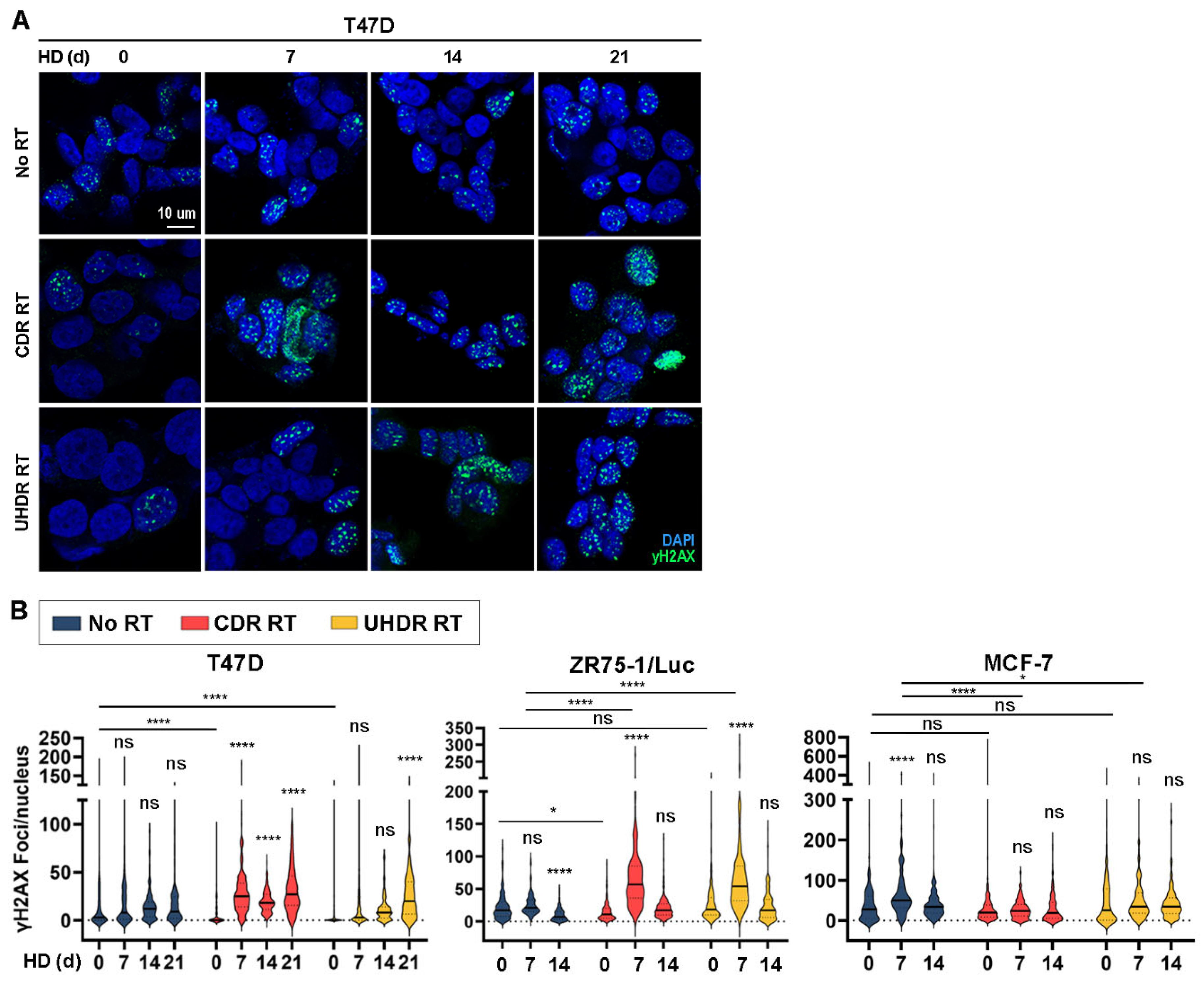 Cancers 17 01921 g004