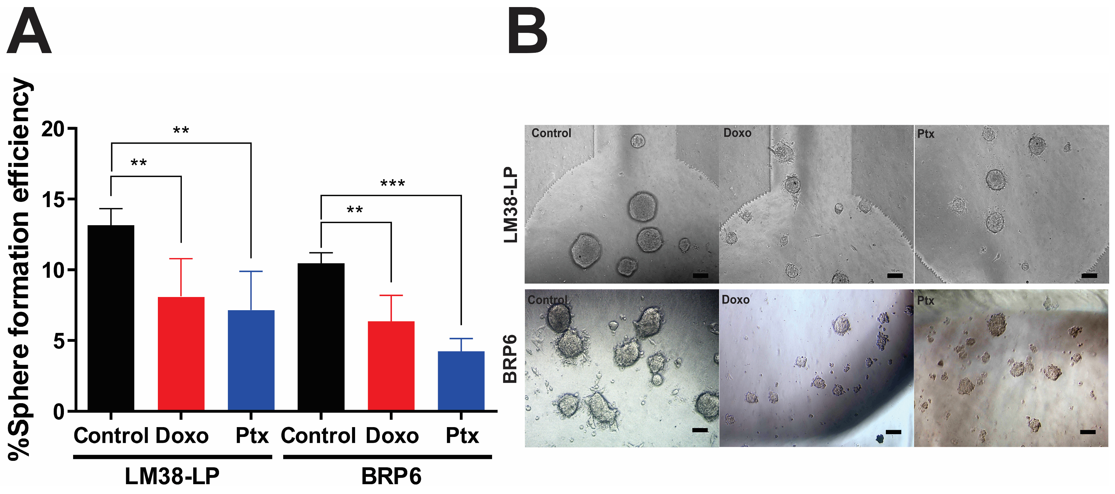 Cancers 17 01922 g002 Cancers 17 01922 g002