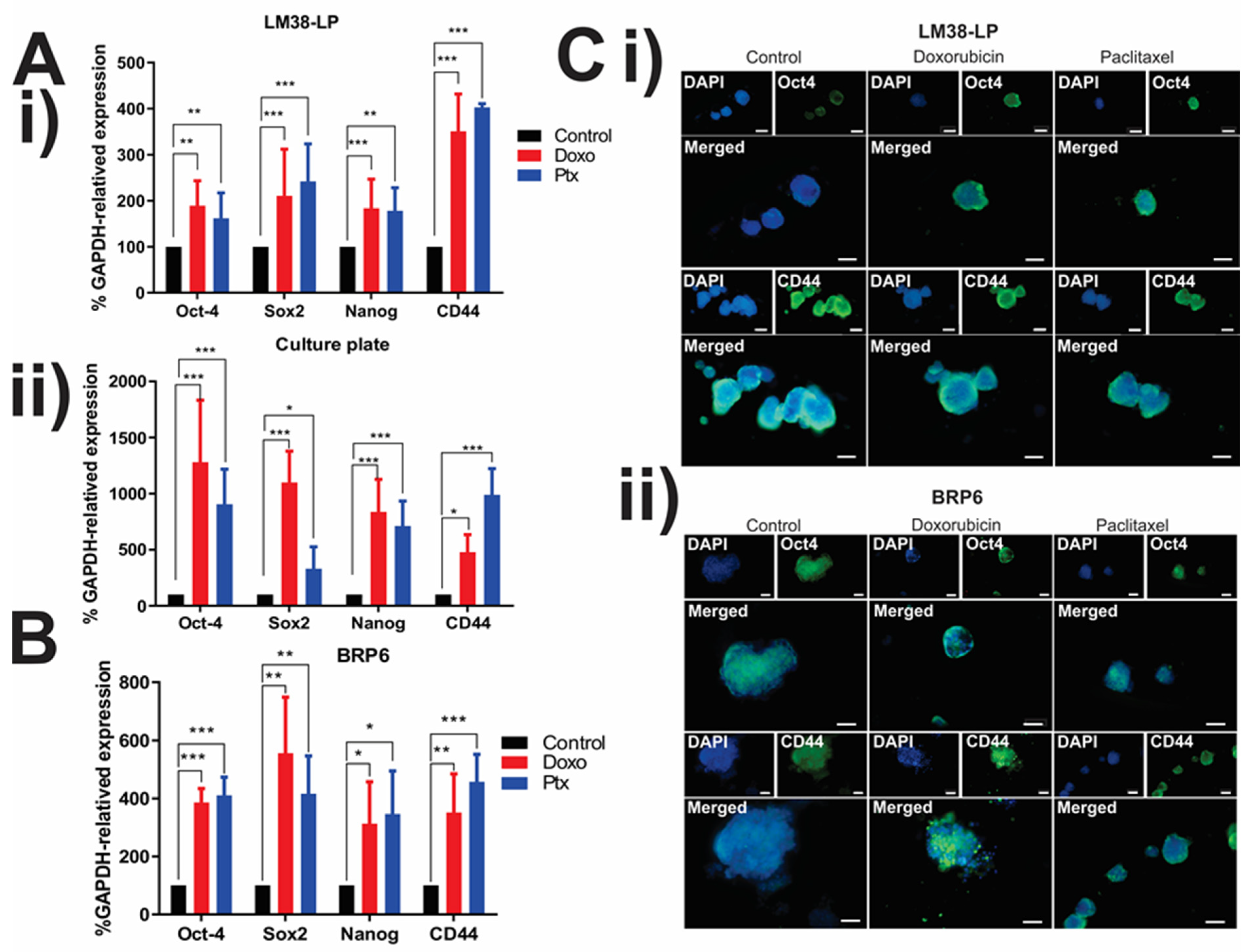 Cancers 17 01922 g003 Cancers 17 01922 g003