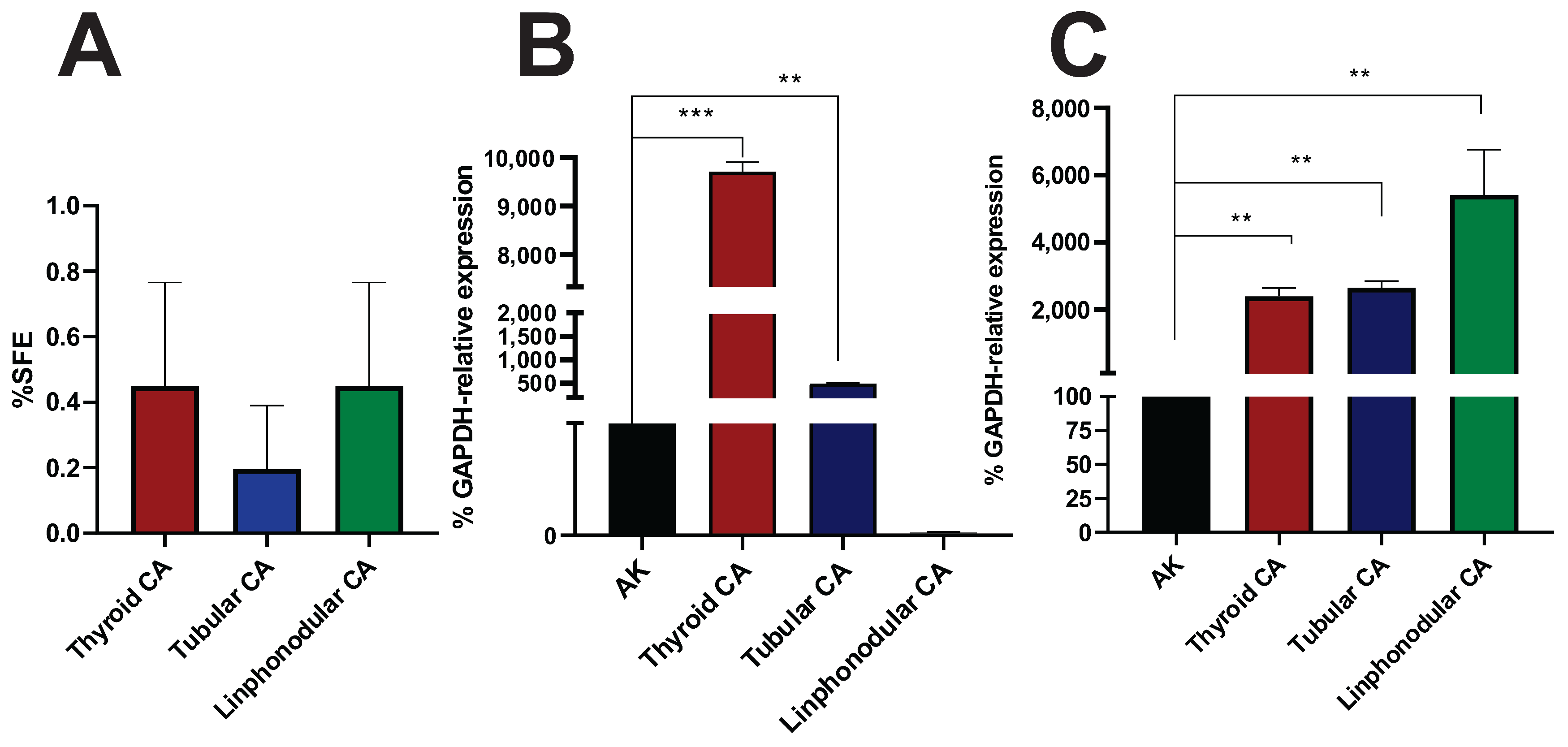Cancers 17 01922 g006 Cancers 17 01922 g006