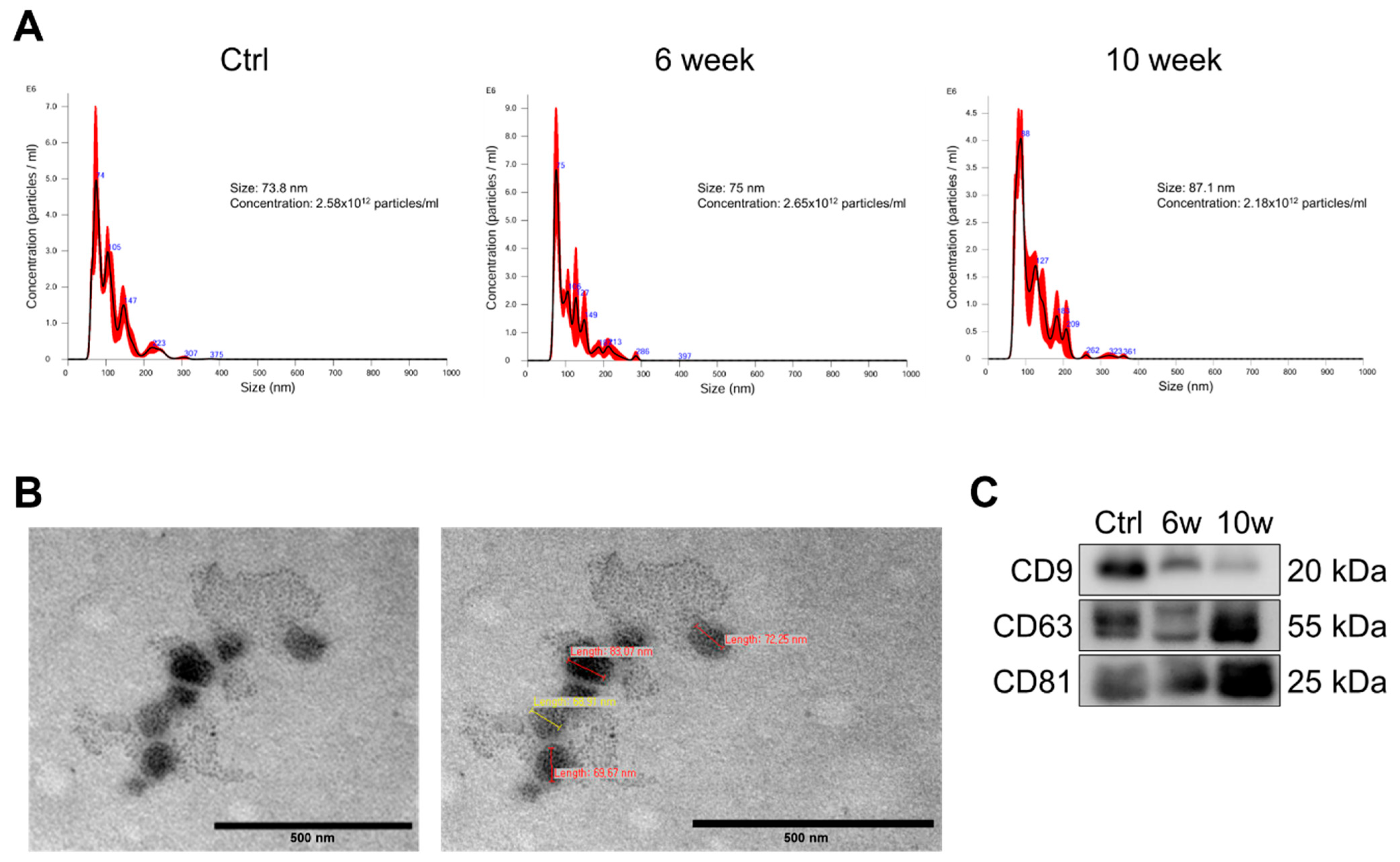 Cancers 17 01929 g002