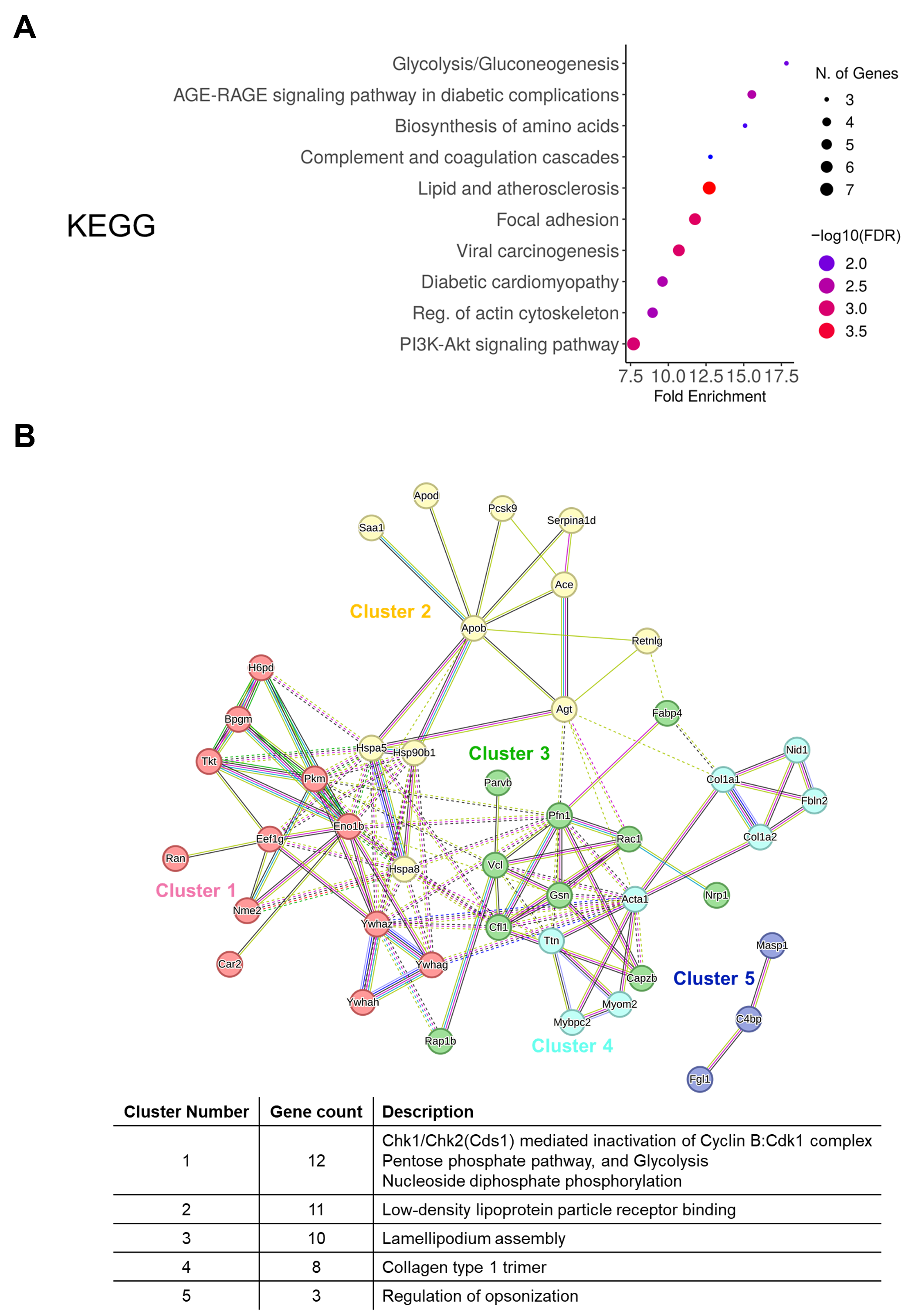 Cancers 17 01929 g005