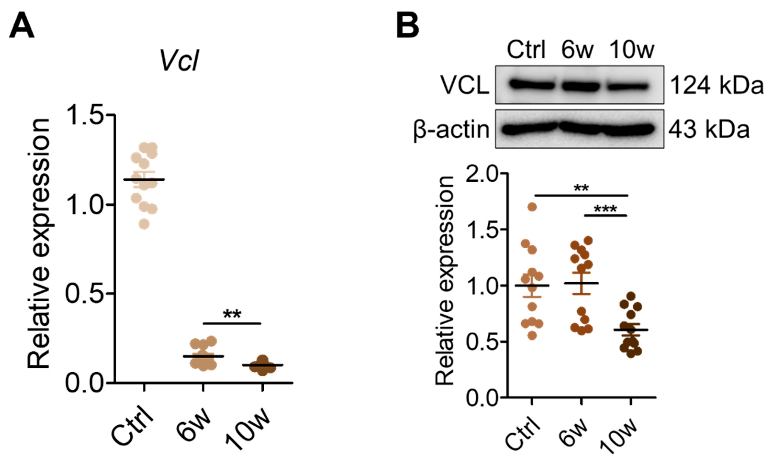 Cancers 17 01929 g006a