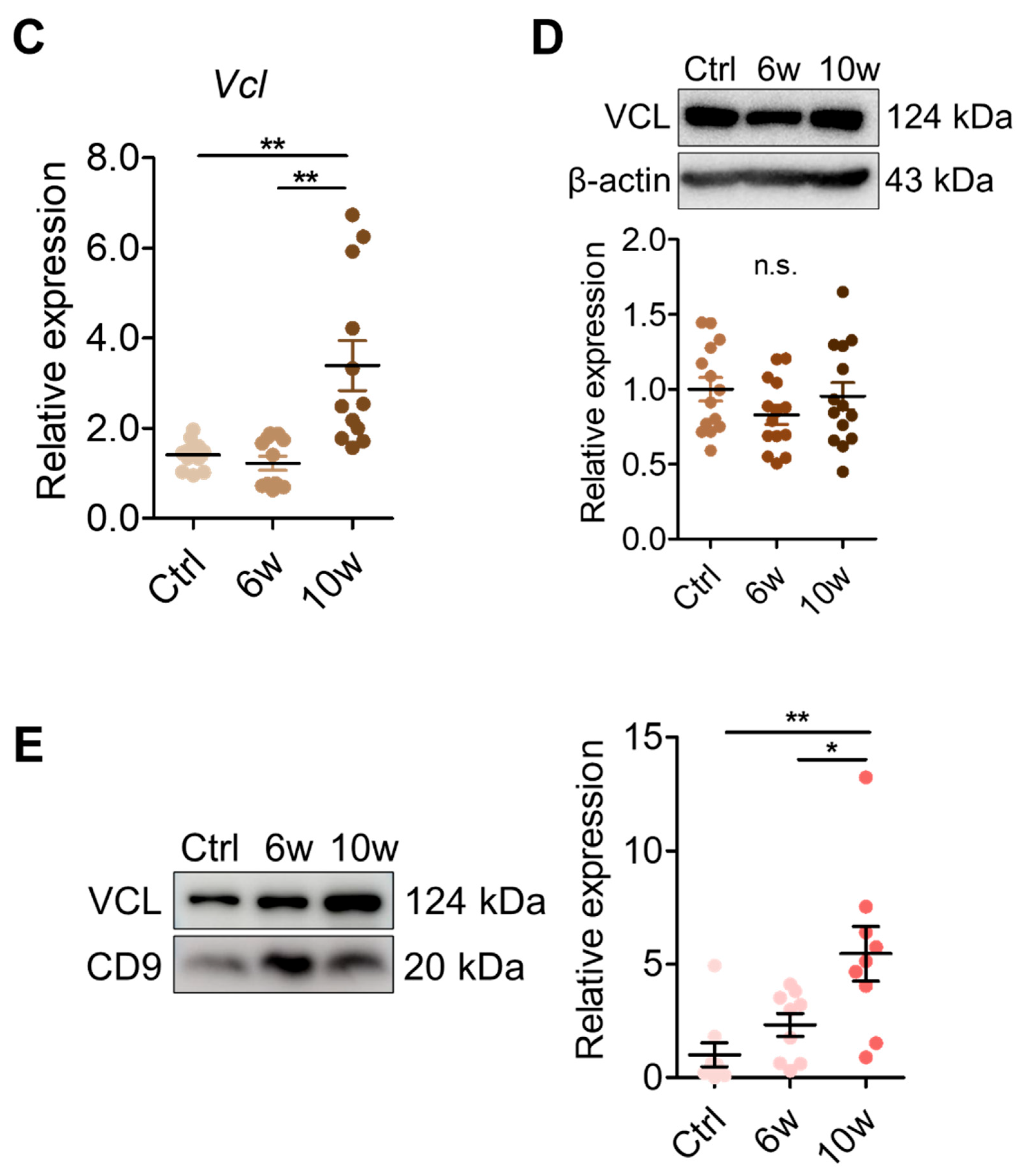 Cancers 17 01929 g006b