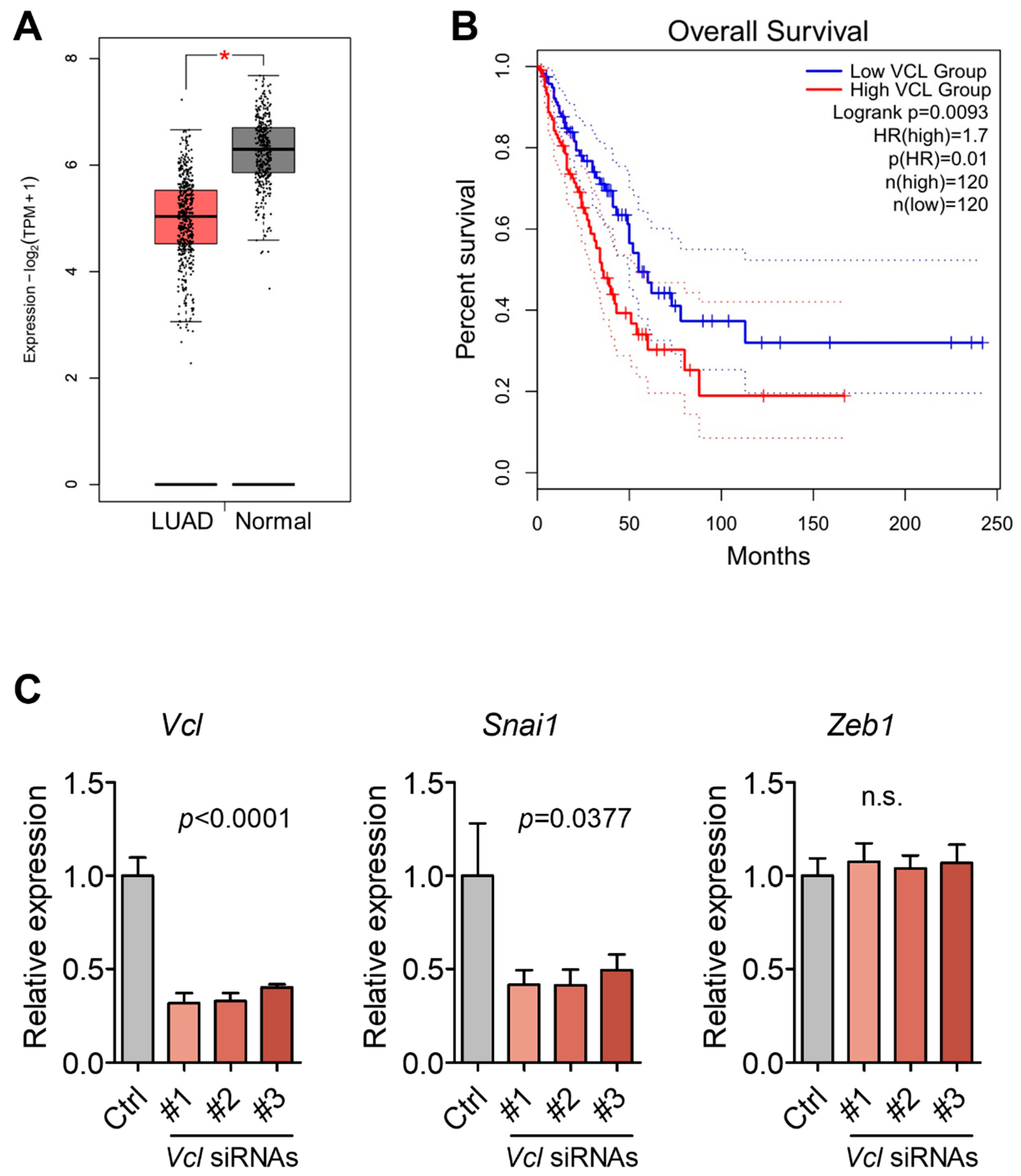 Cancers 17 01929 g007