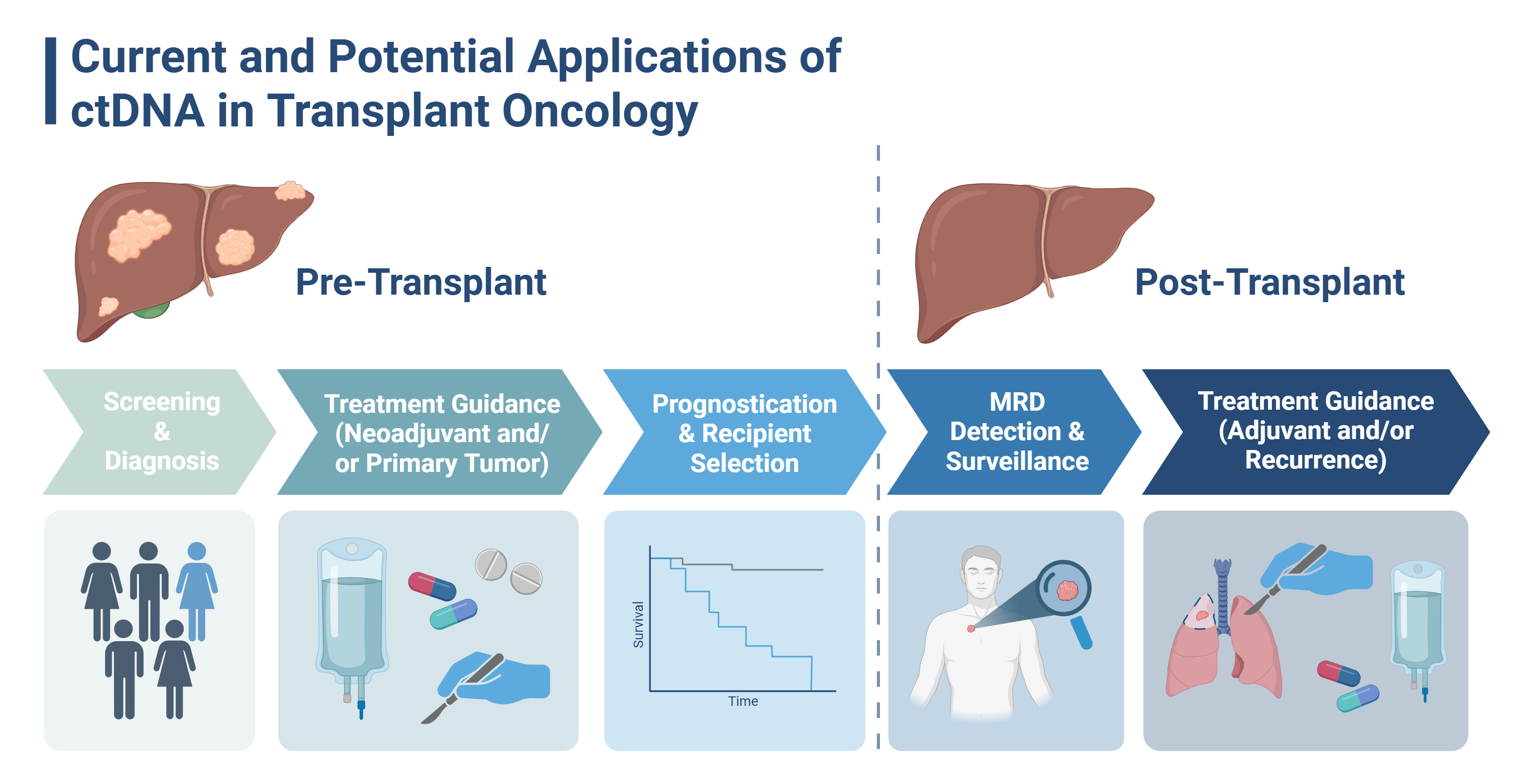 Cancers 17 01930 g001