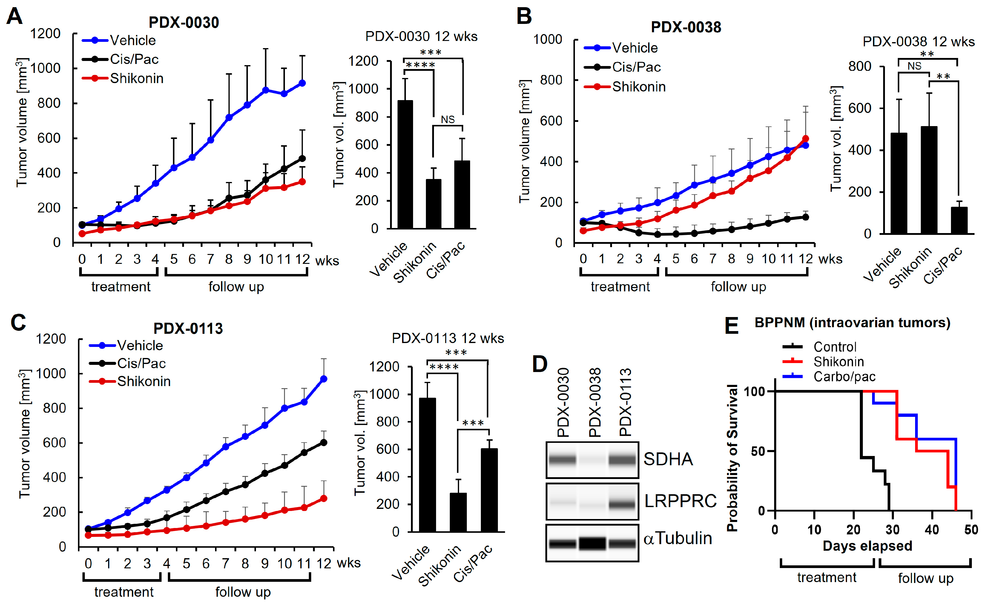 Cancers 17 01942 g005 Cancers 17 01942 g005