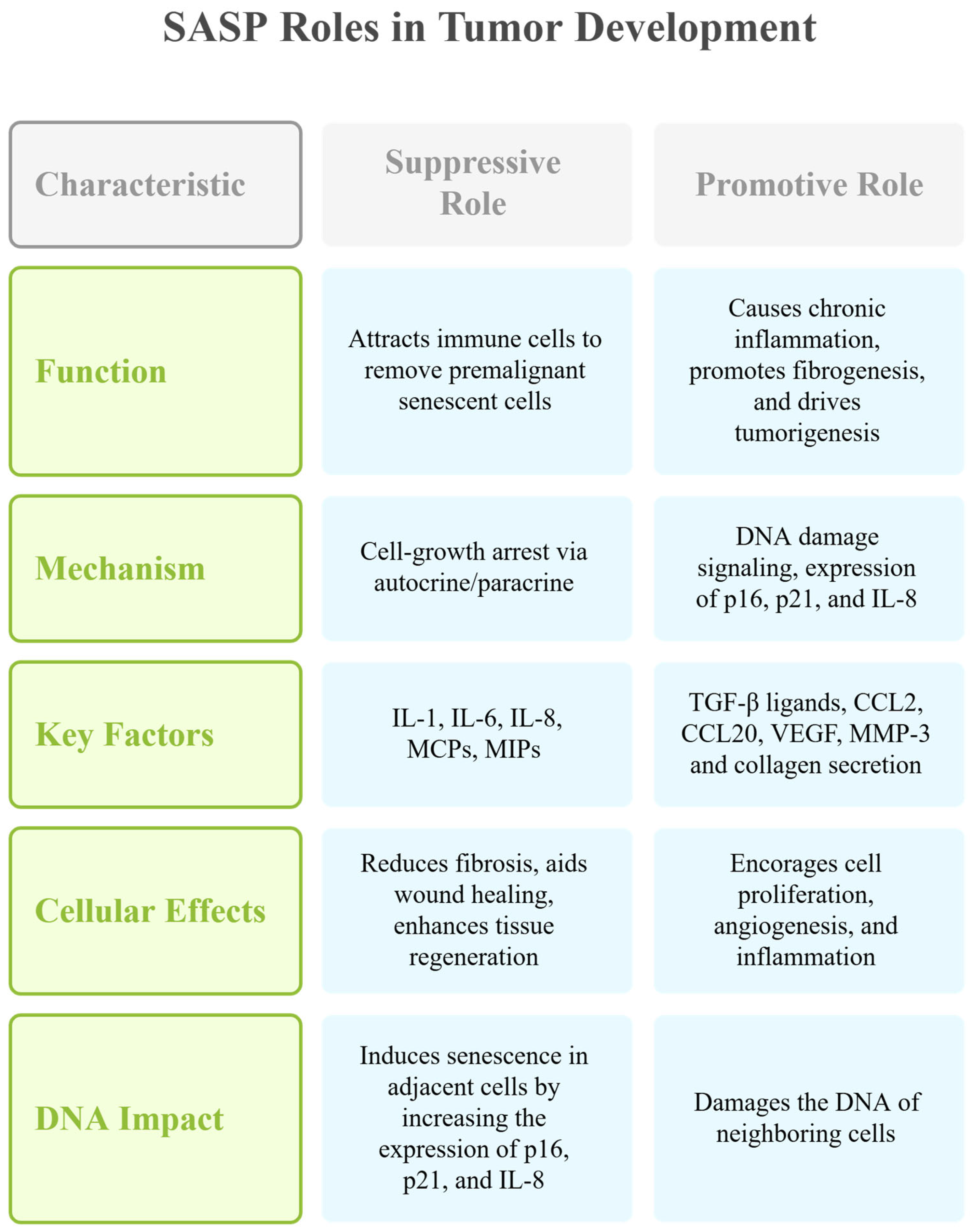 Cancers 17 01965 g003